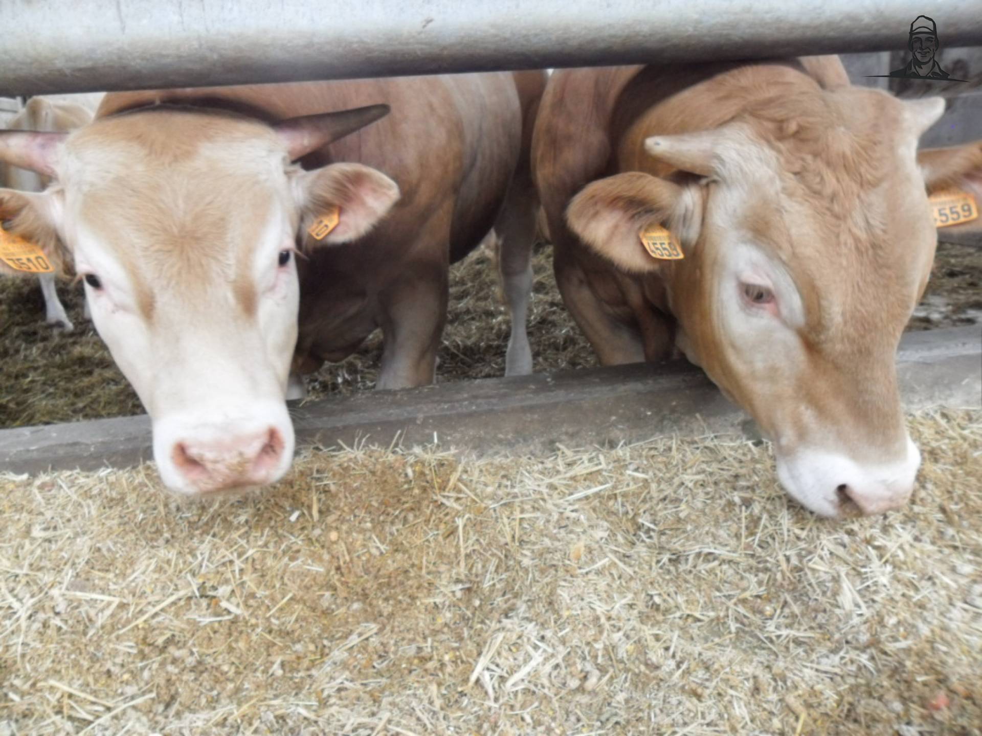 Open dag Masseurs v.o.f. van Ritchie