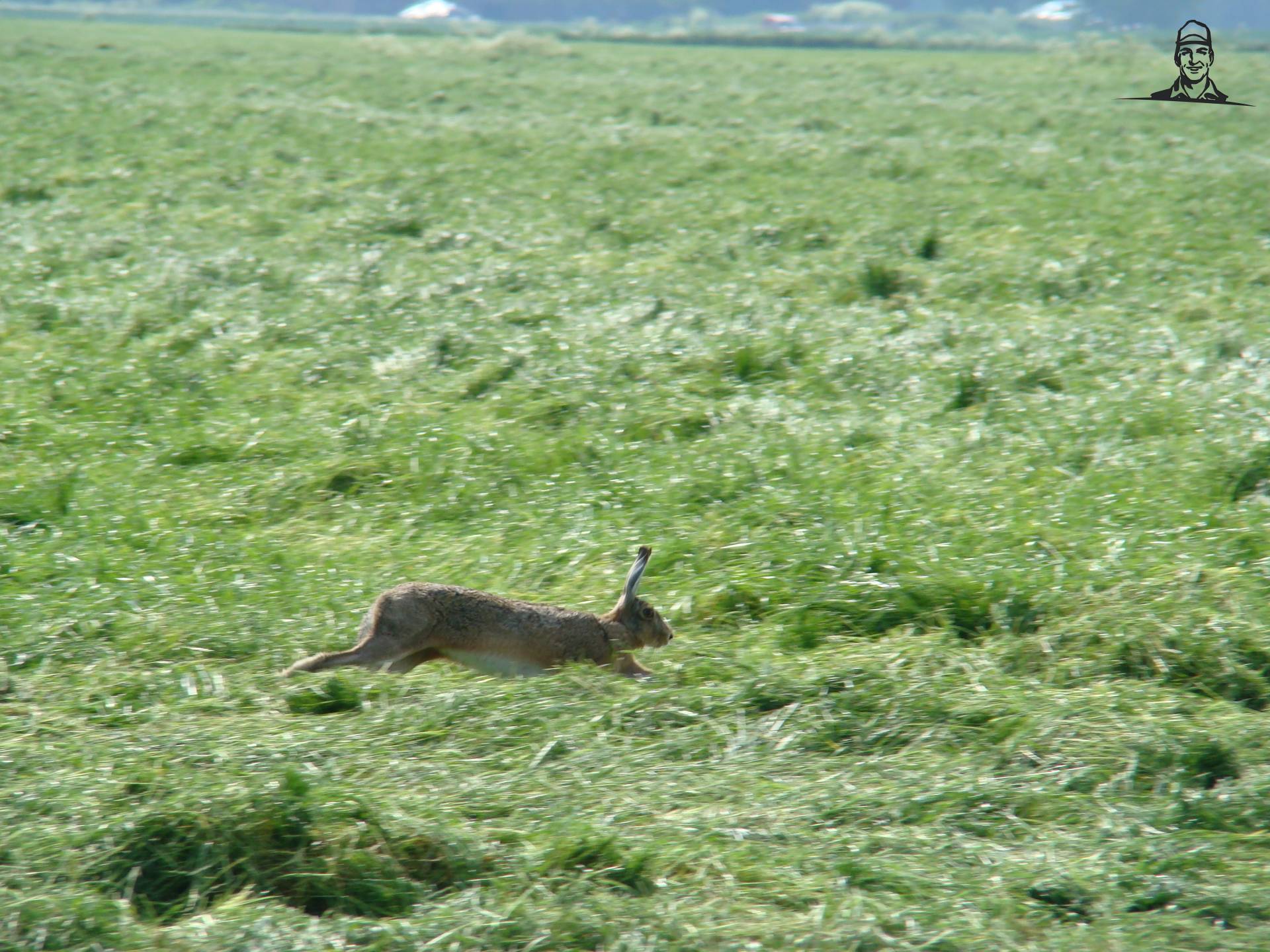 Haas van Johndeeretje