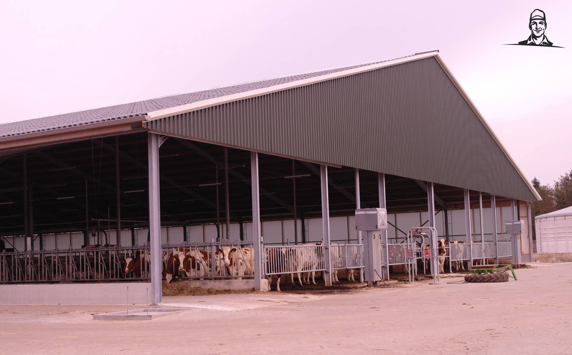 Open dag bij melkveehouders Gunnewijk van Grasbaal