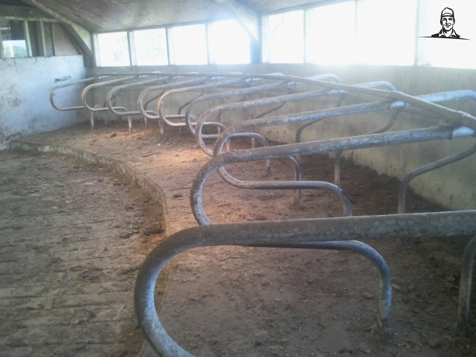 Ligboxen in een ronde stal van Grasbaal