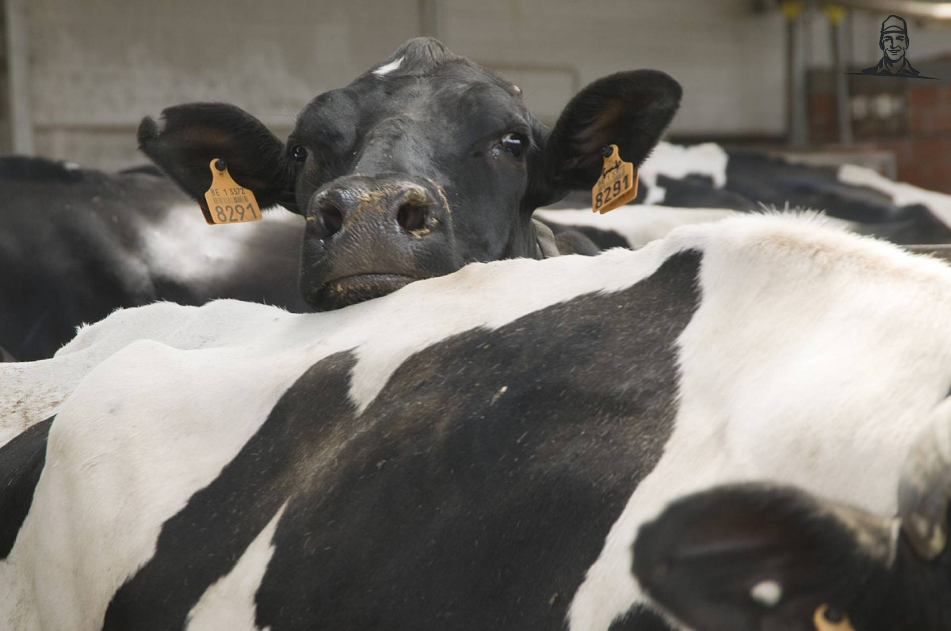 Dat ben ik! van Tochtige Bella
