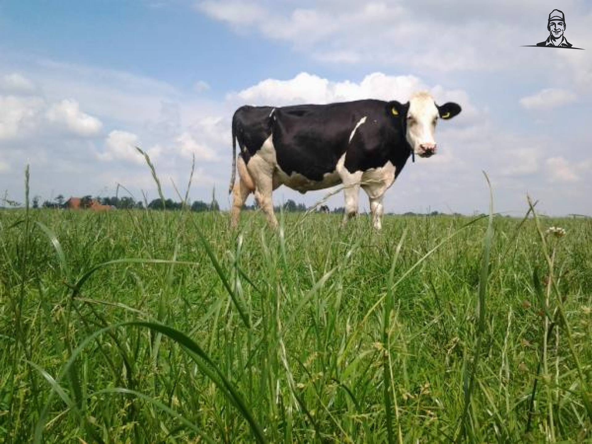 Jarenlang geprobeerd NRMkanidaat te fokken van TwitterGrazer