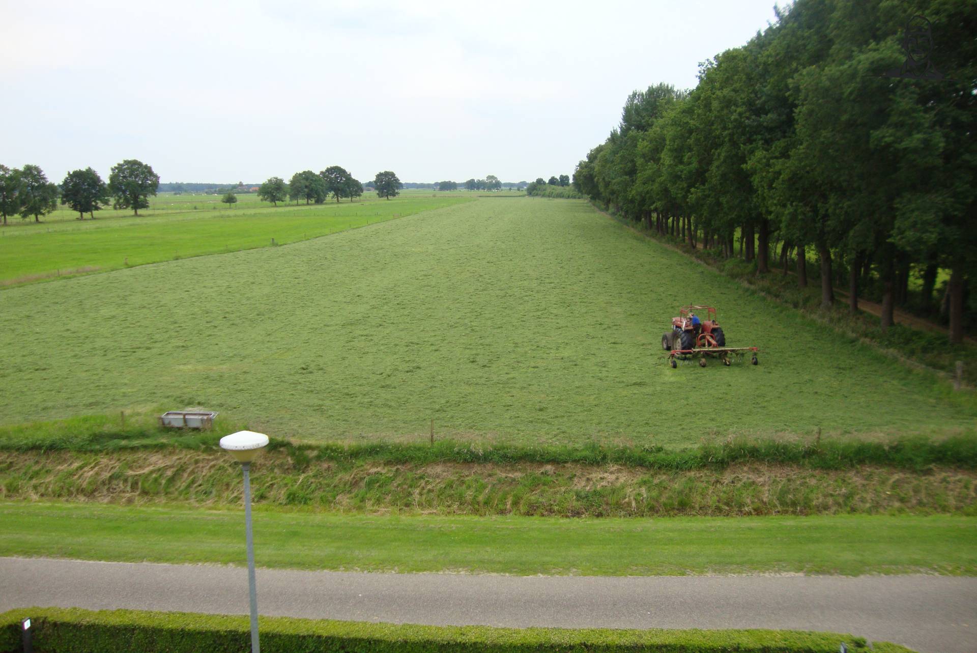 gras gemaait van chef-mf