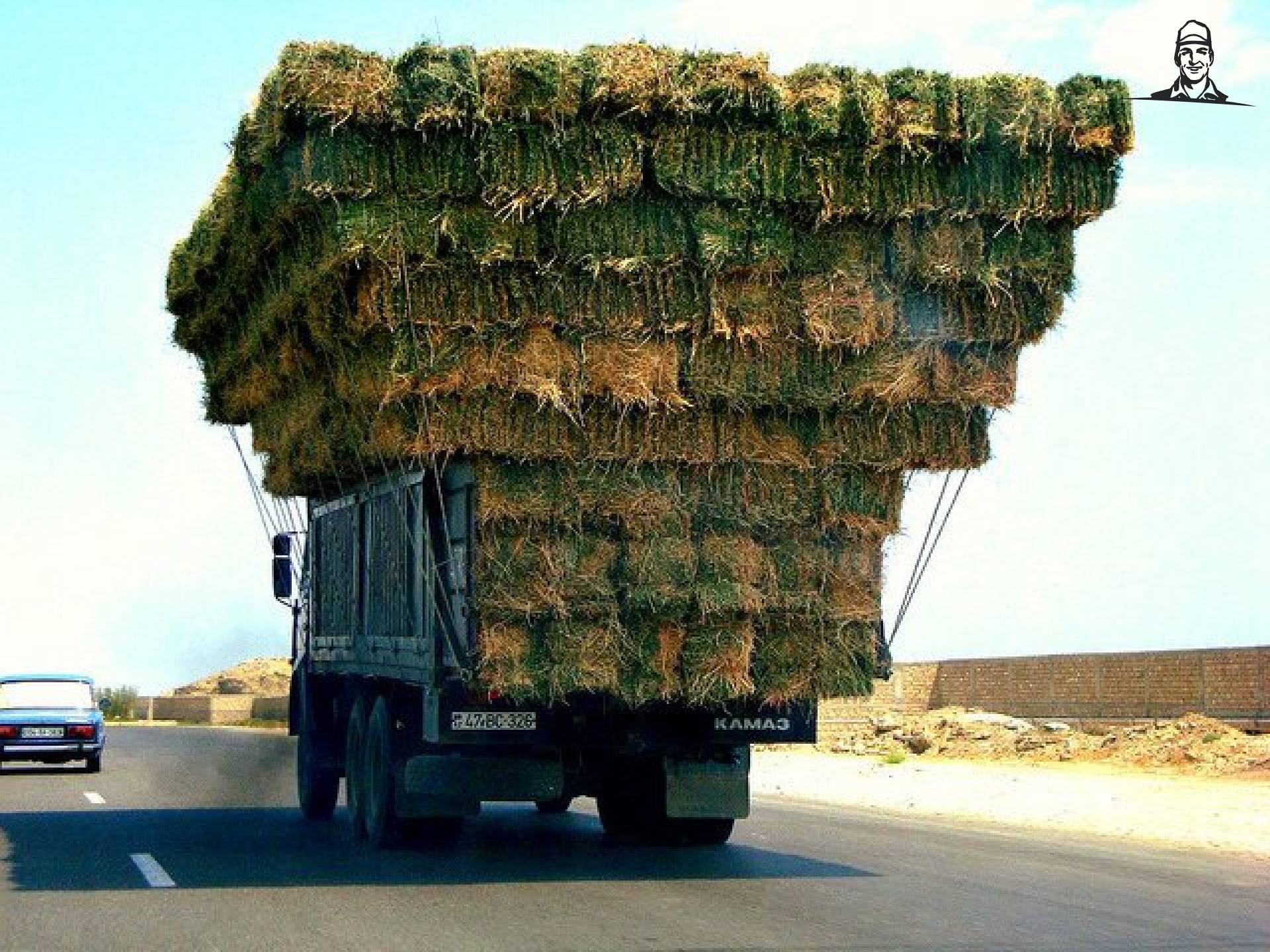 NK Hooibaaltjes stapelen van Grasbaal