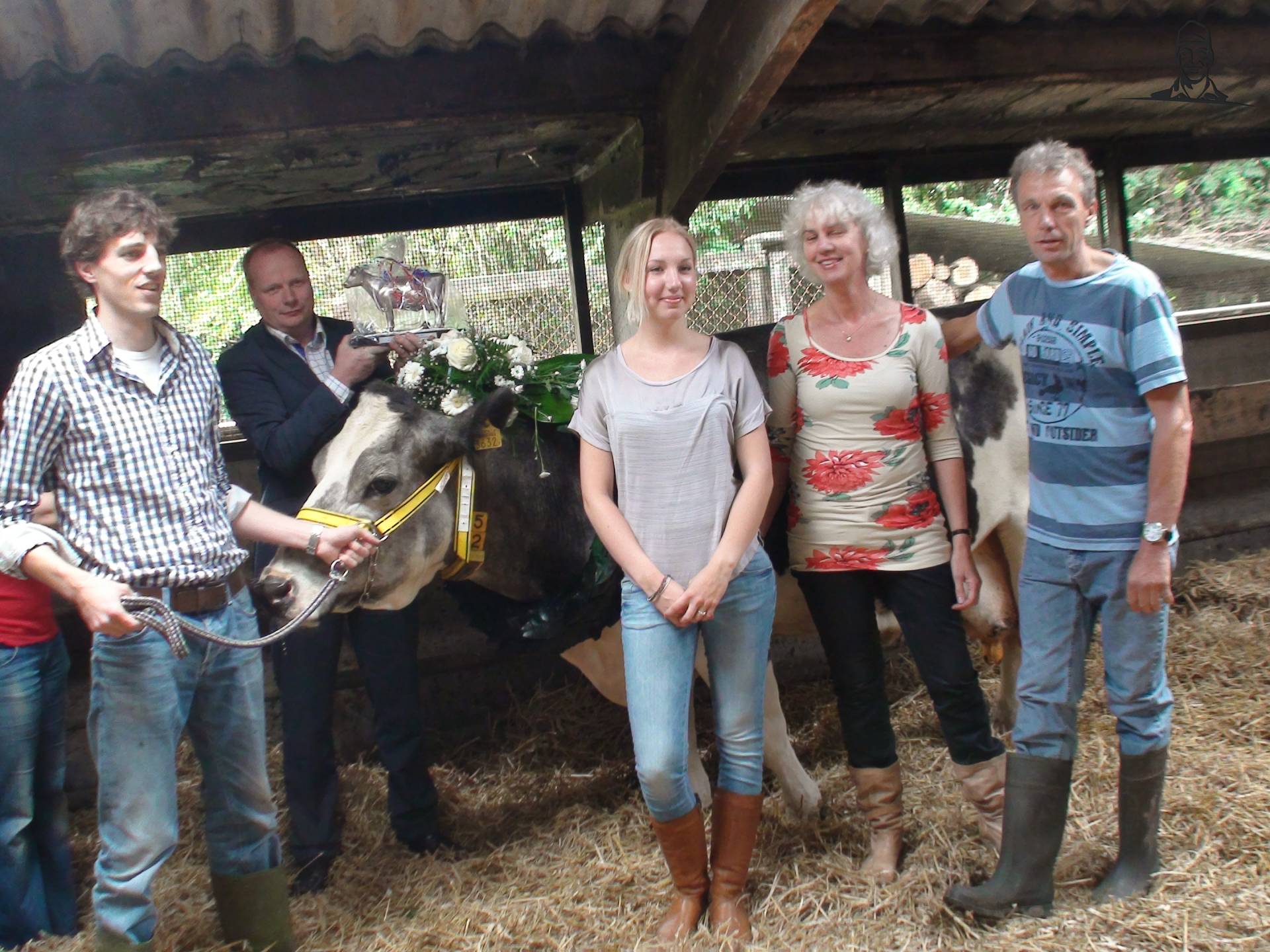 Anna 49 oudste melkgevende koe van Nederland van Grasbaal