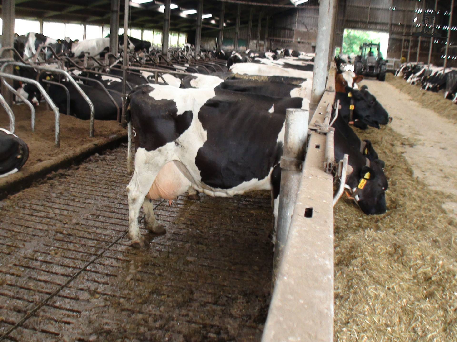 Klokgave 100.000 liter koe van Grasbaal