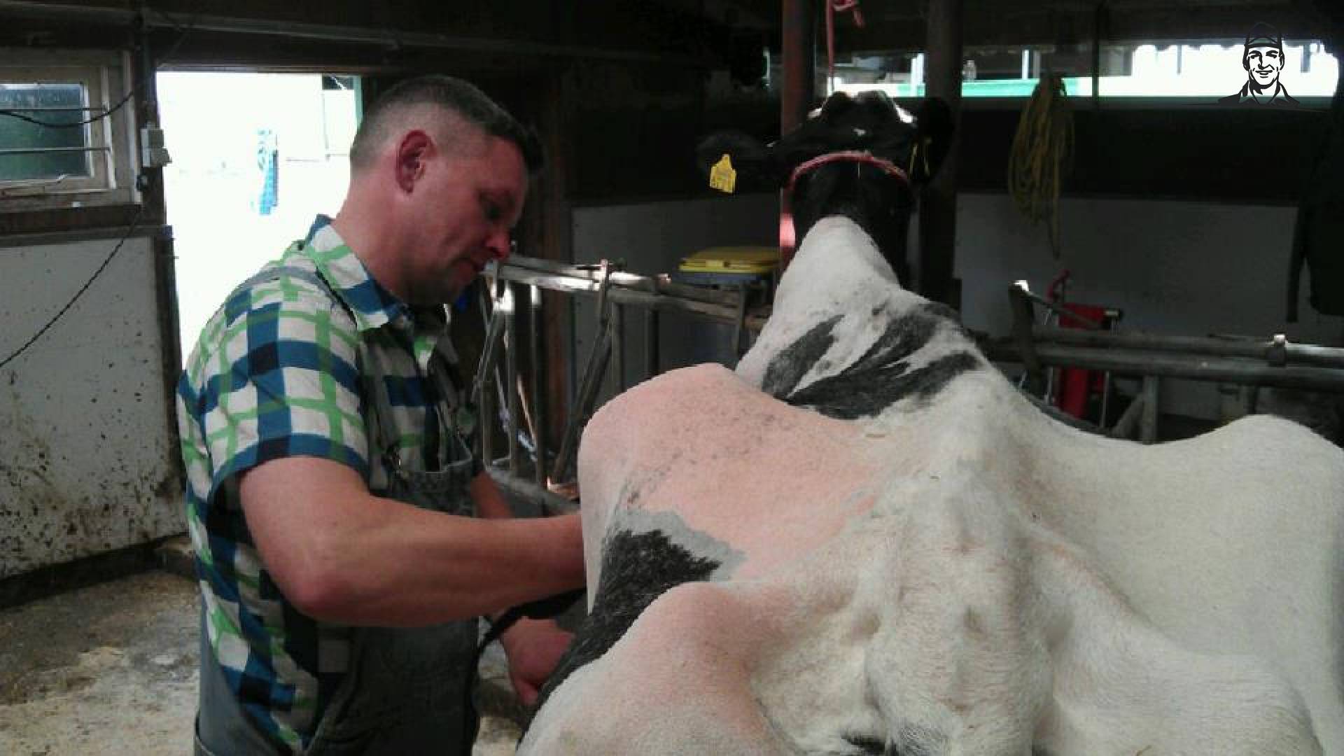 Hulp uit de UK van FacebookGrazer