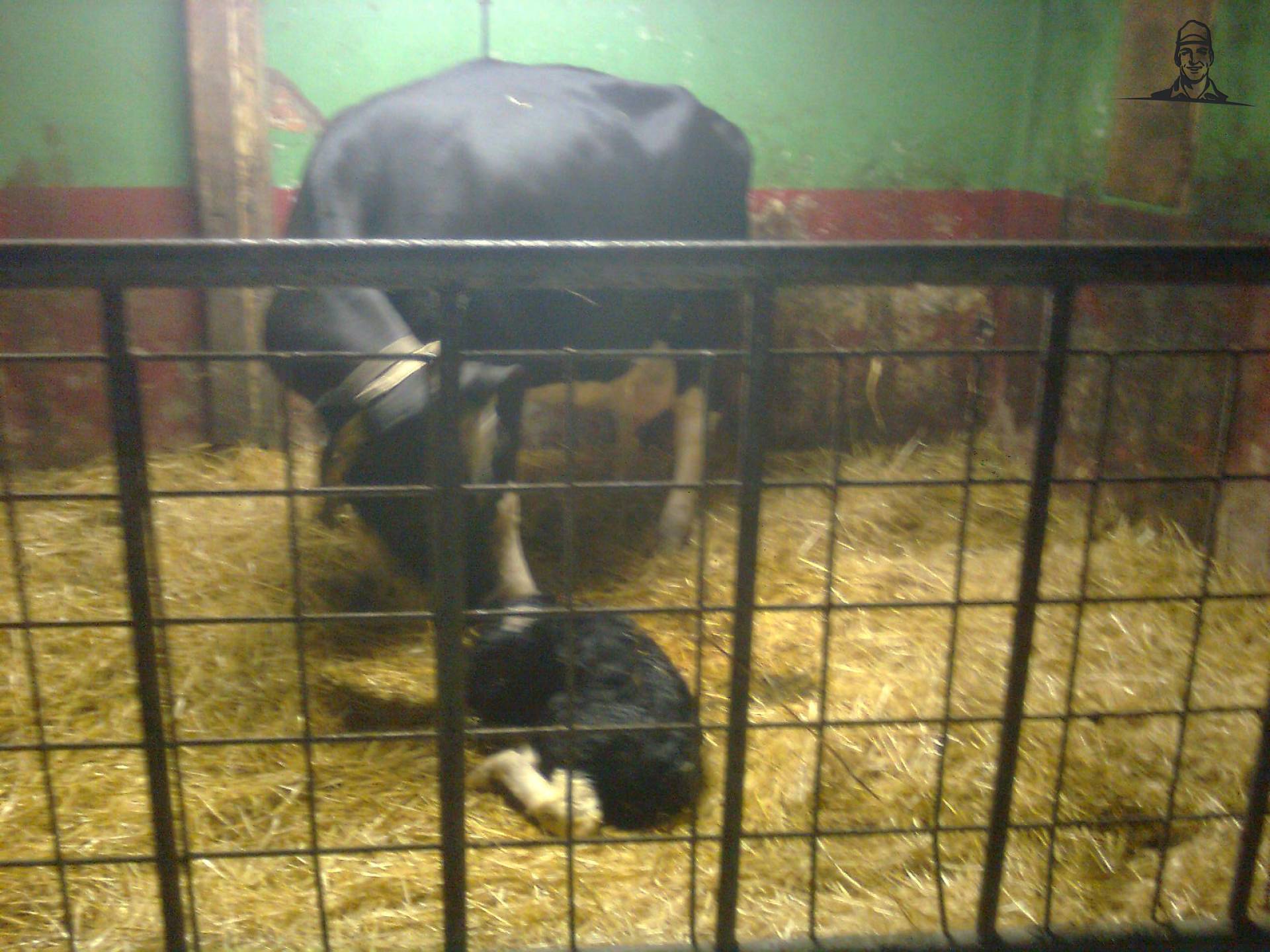 Zo moeder zo dochter/zoon  van MasseyPowersss