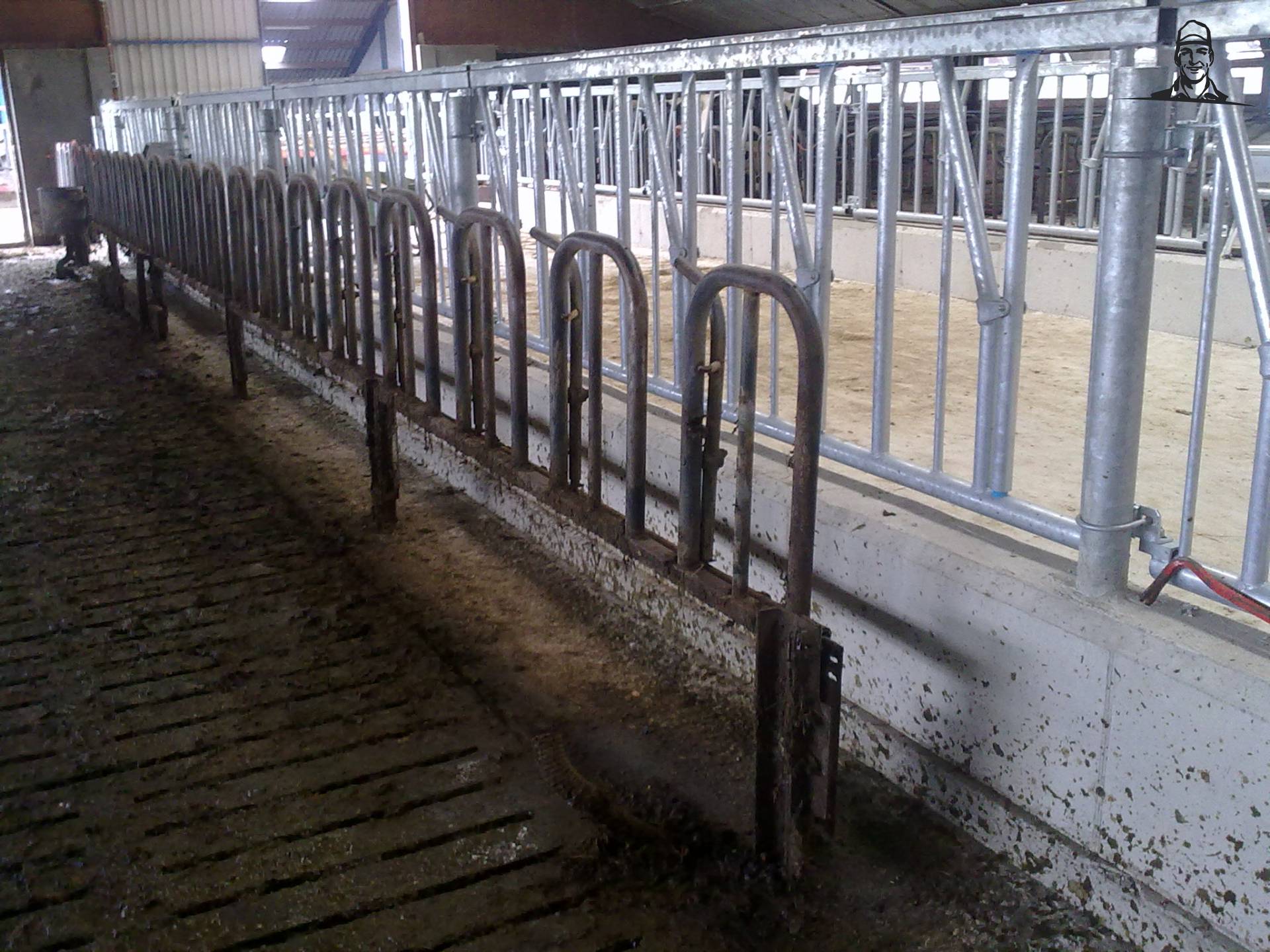 voerhekken bijna klaar van DeutzD40L