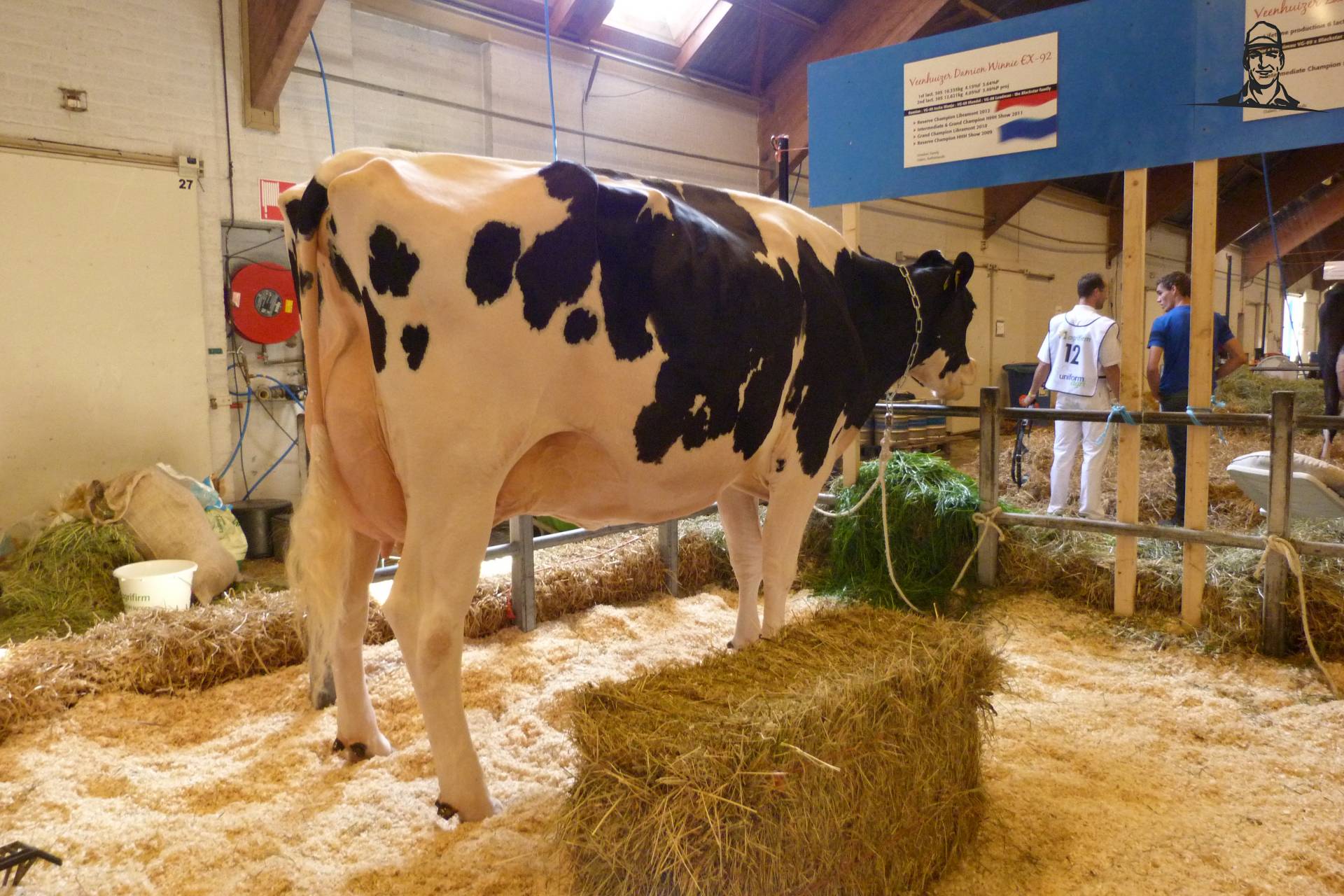 Veenhuizer Damion Winnie van fokje114