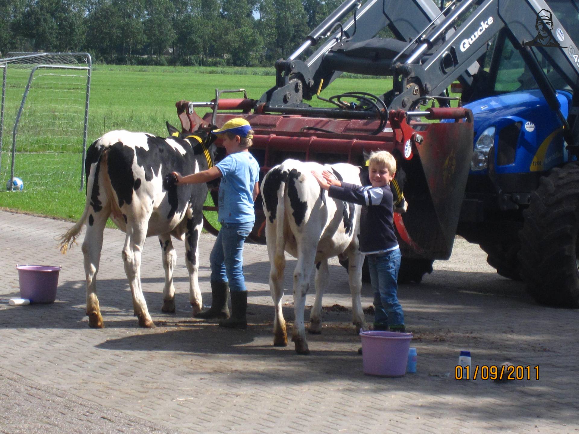 kalfjes wassen van hoffie306