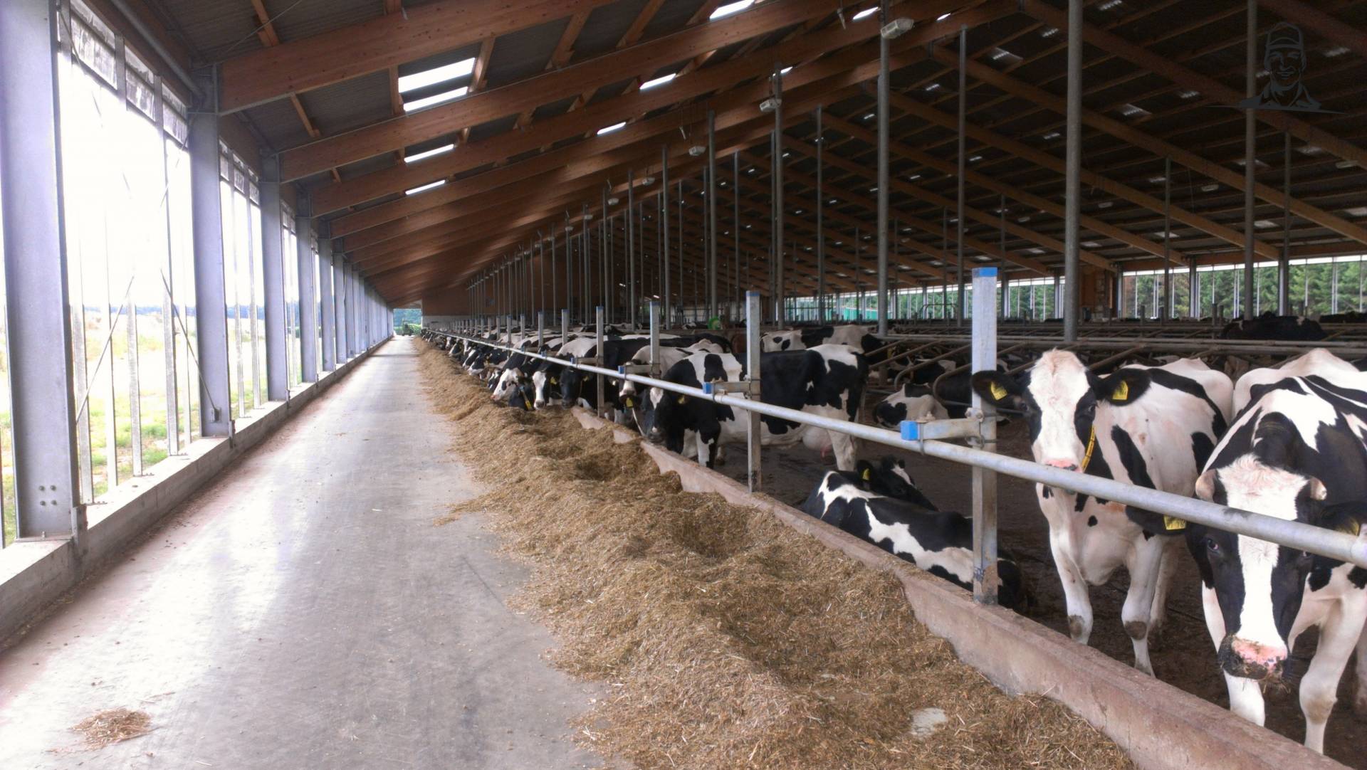 360 meter voerhek van gezienus