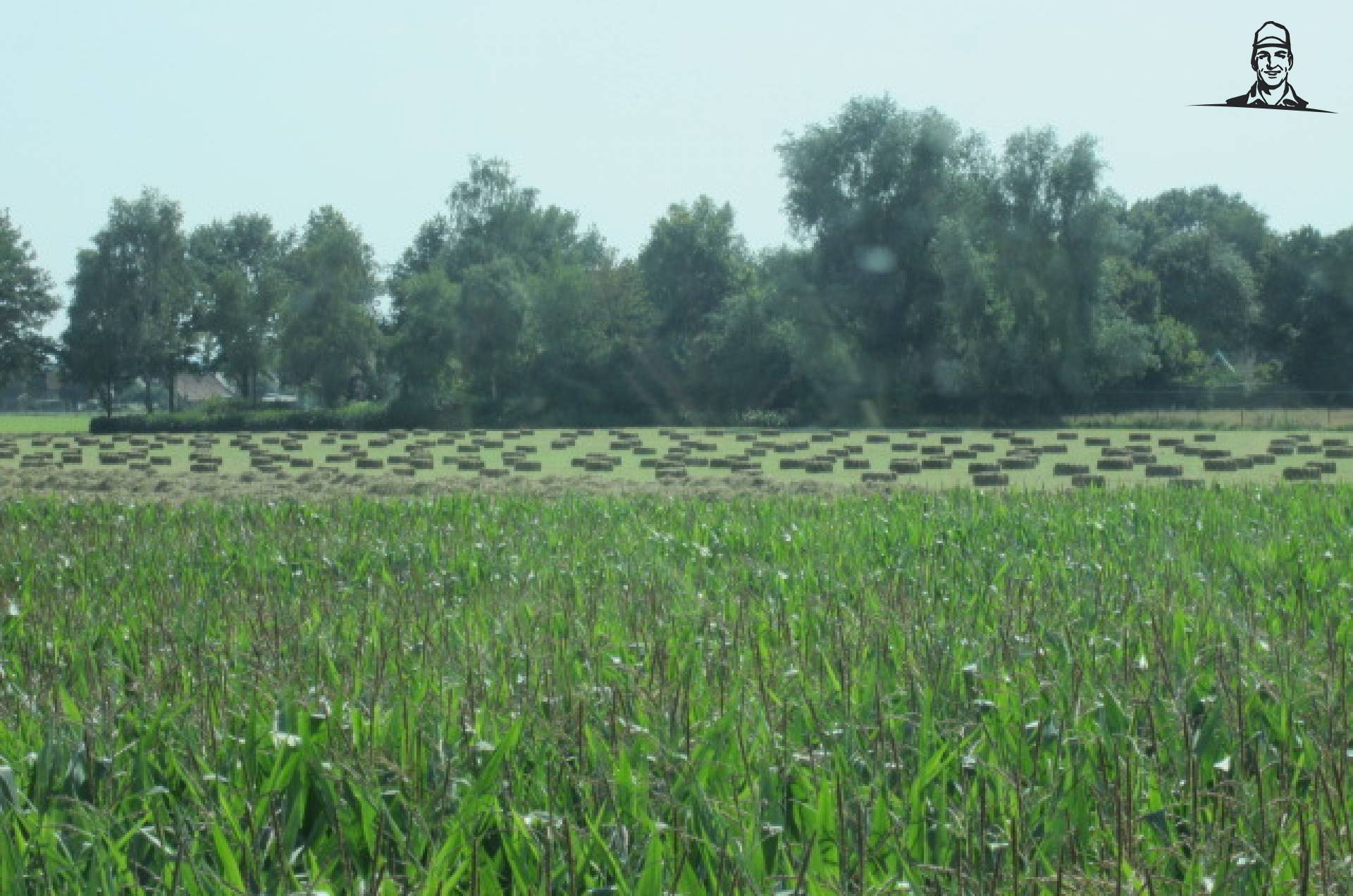 Hooibaaltjes van Deere Hunter