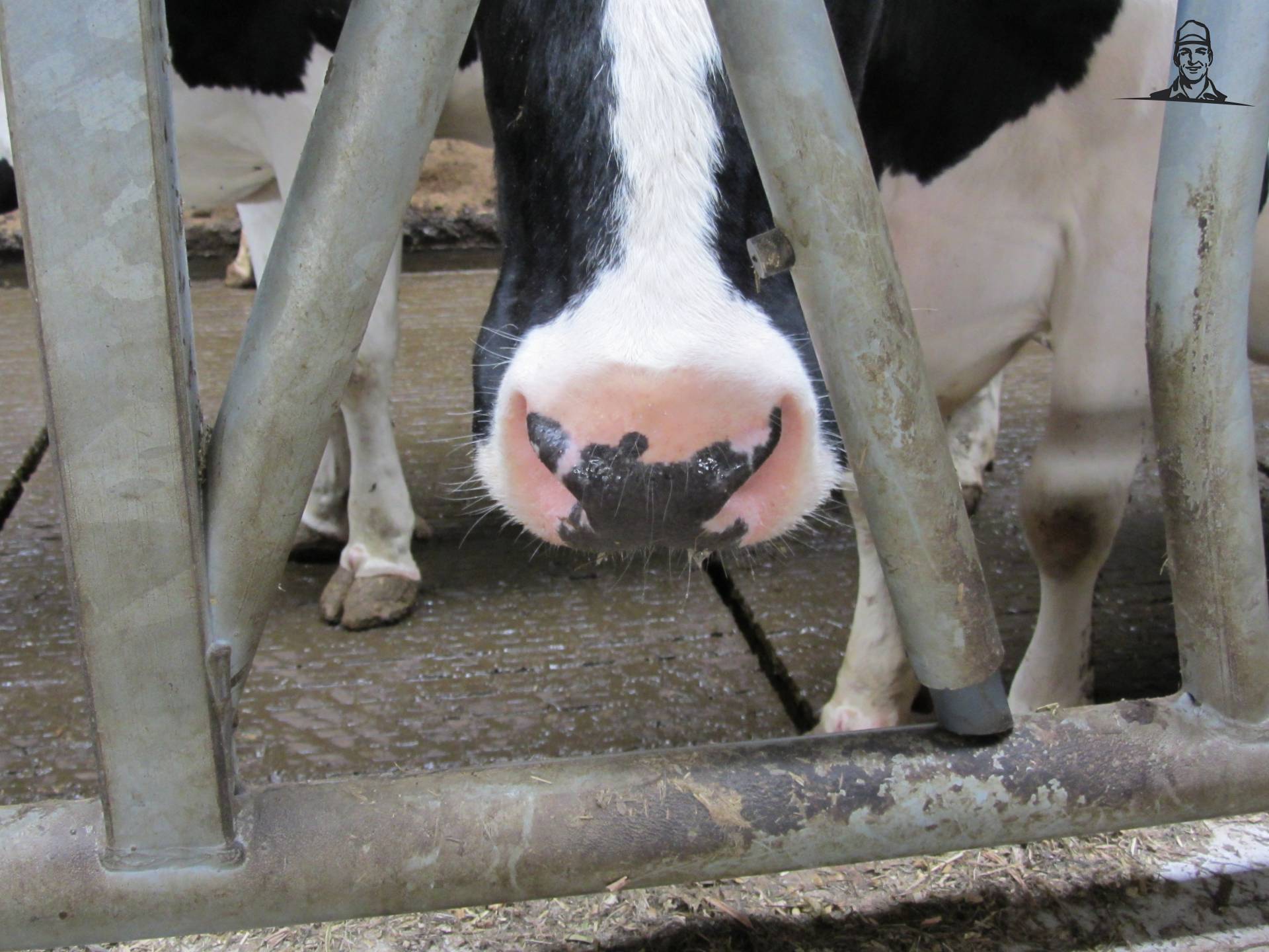 Duurzaamheid van Base