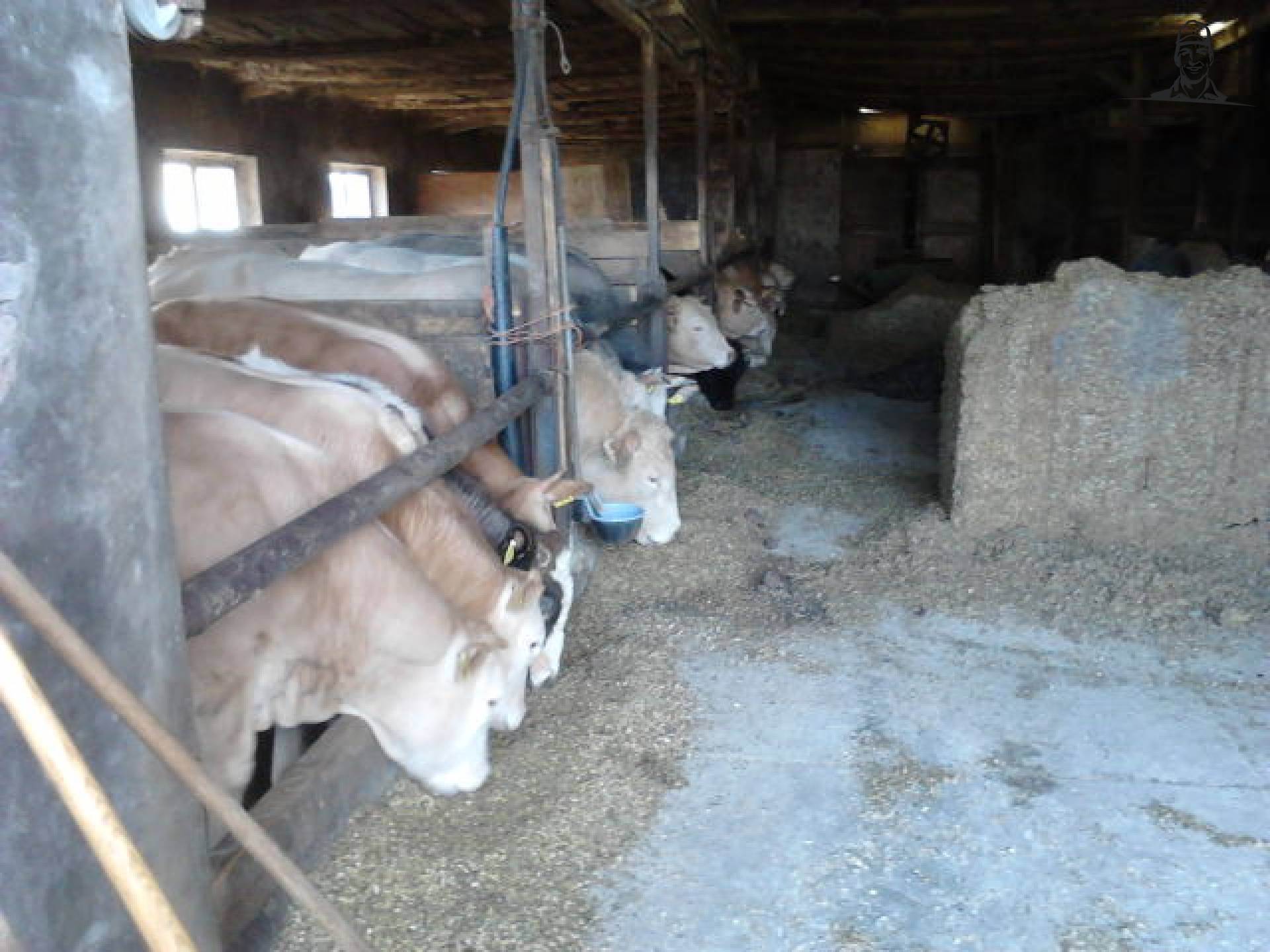 stieren van NHT6080RC