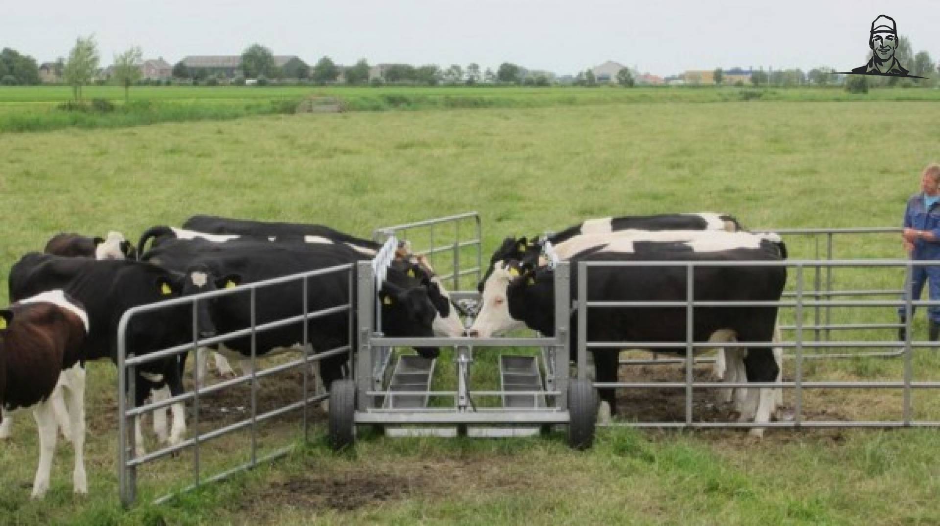 Veevangwagen voor rundvee van Grasbaal