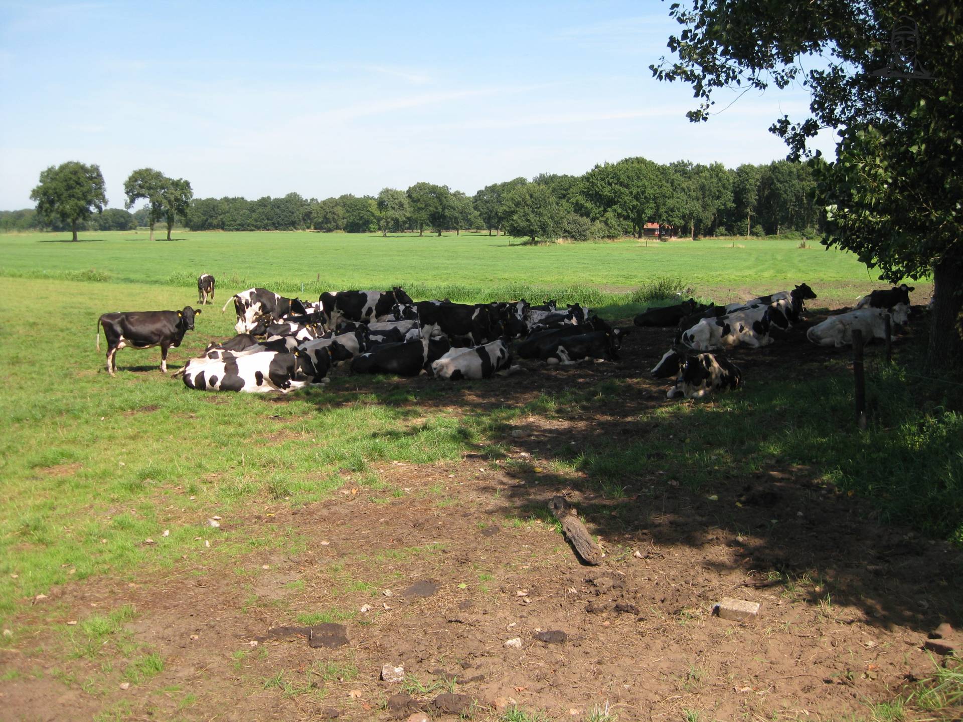 weidemelktoeslag van mlkvhoudr