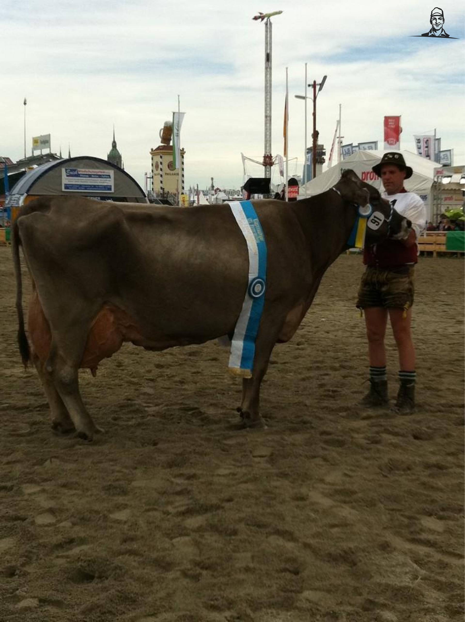 Kampioen oudere #brownswiss koeien ZLF Show Munchen van TwitterGrazer