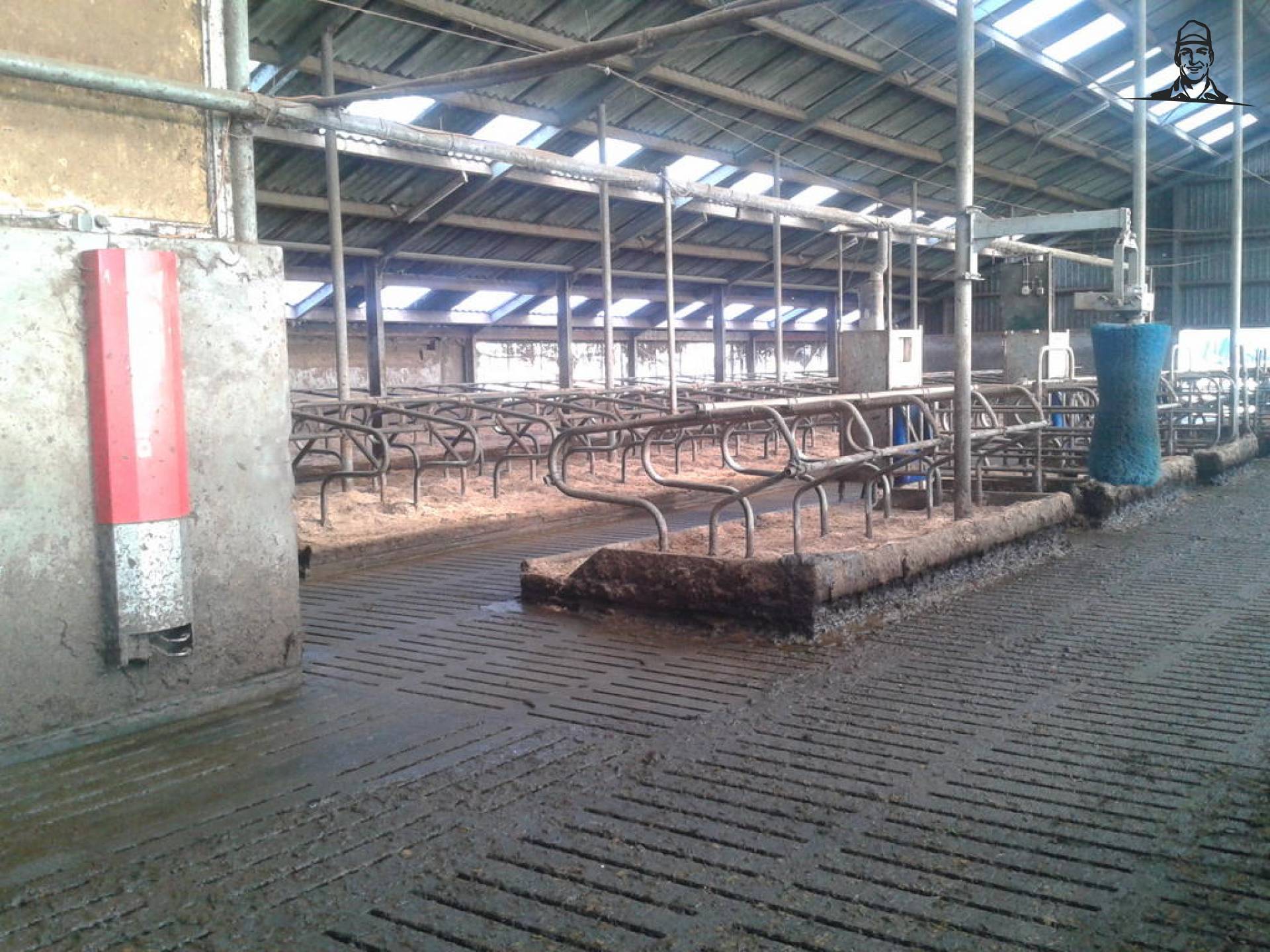 de dames pakken nog even een zonnestraaltje mee van TwitterGrazer