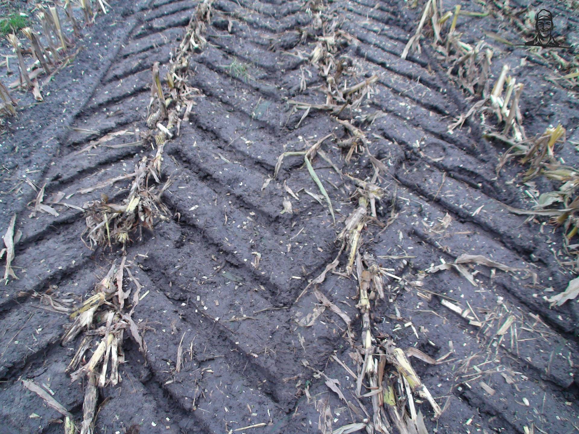 Spoorzoeken van Grasbaal