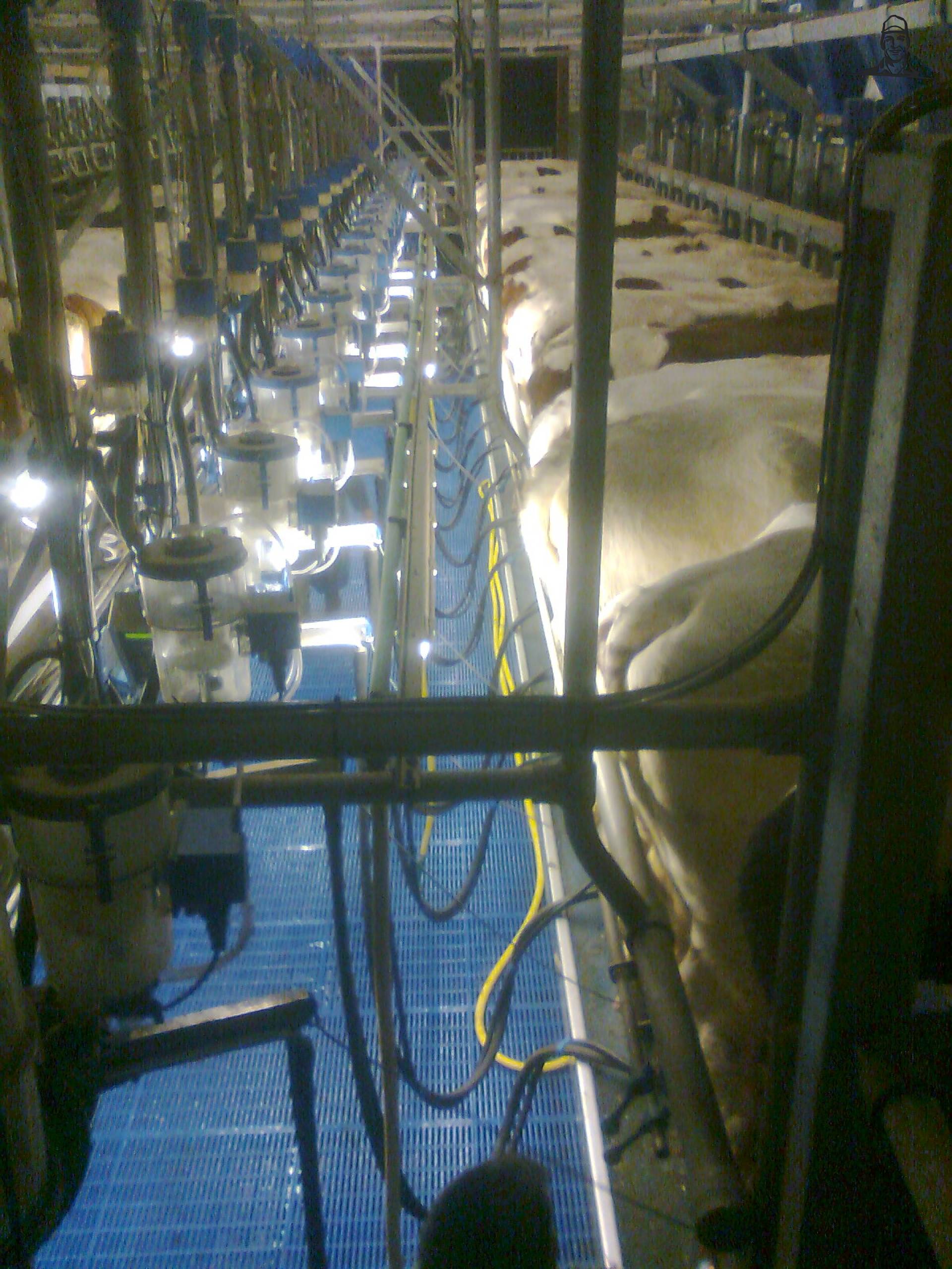 Dairymaster 2 x 20 Swing-over melkstal van Fiat110-90 DT