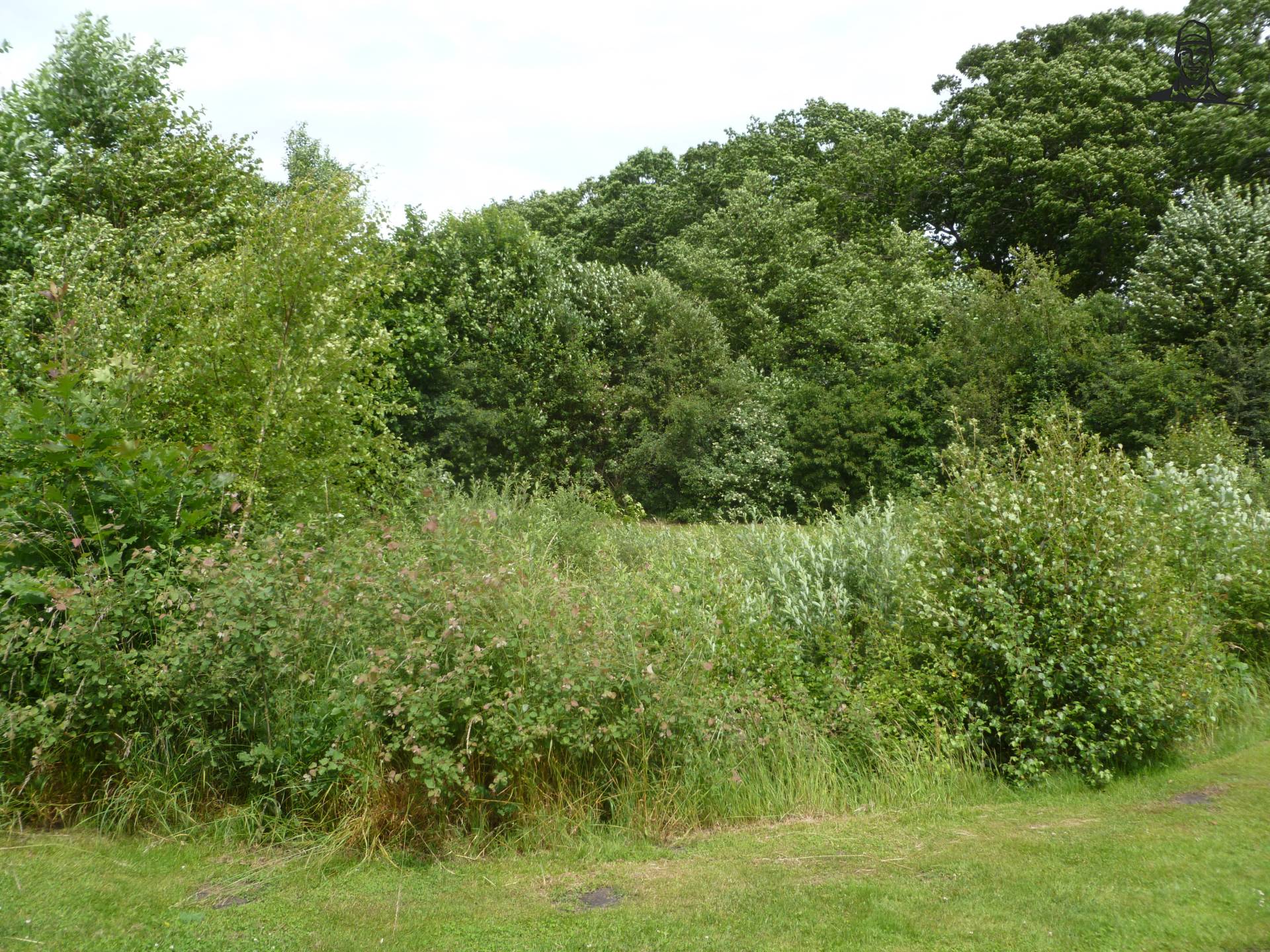 Kikkerpoel van DOLMAR