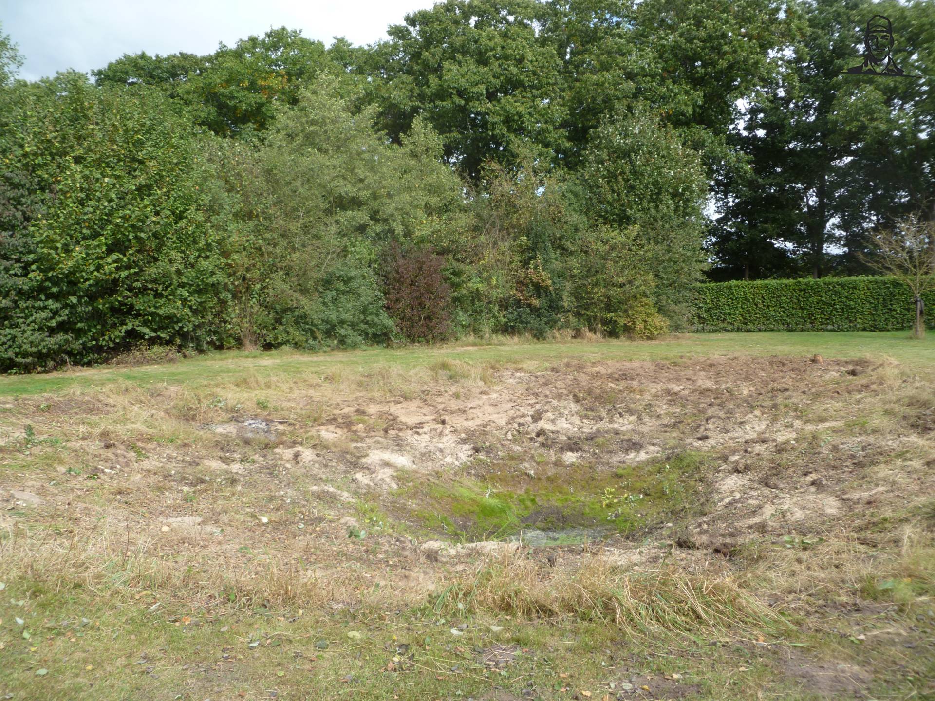 Kikkerpoel  van DOLMAR