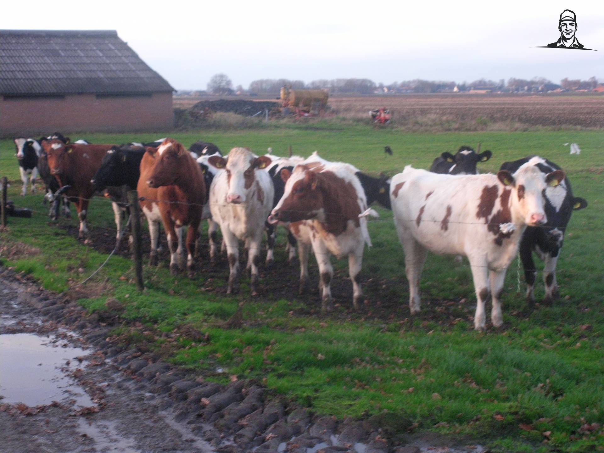 pinken van claasfan530