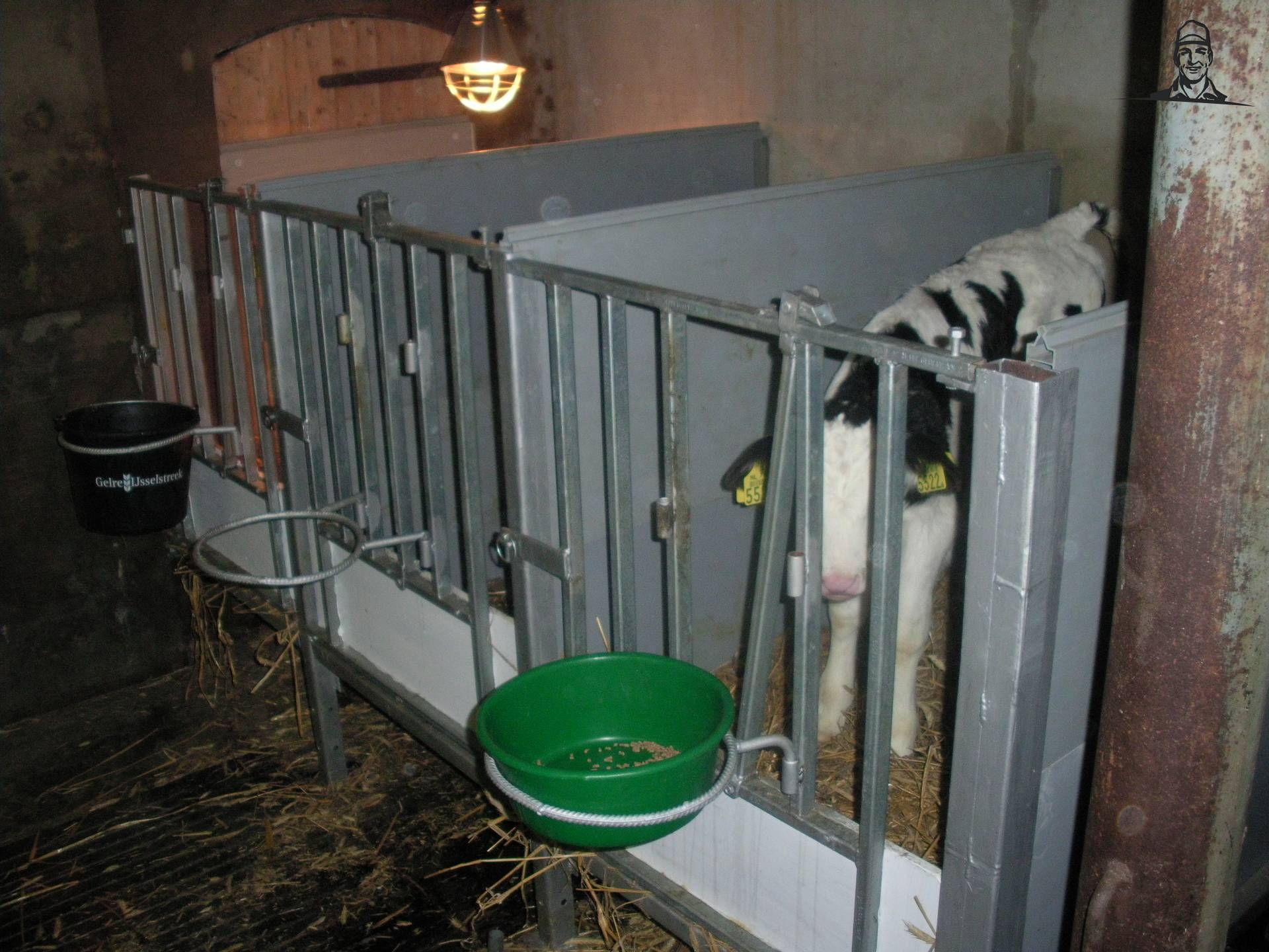 kalveren van claasfan530