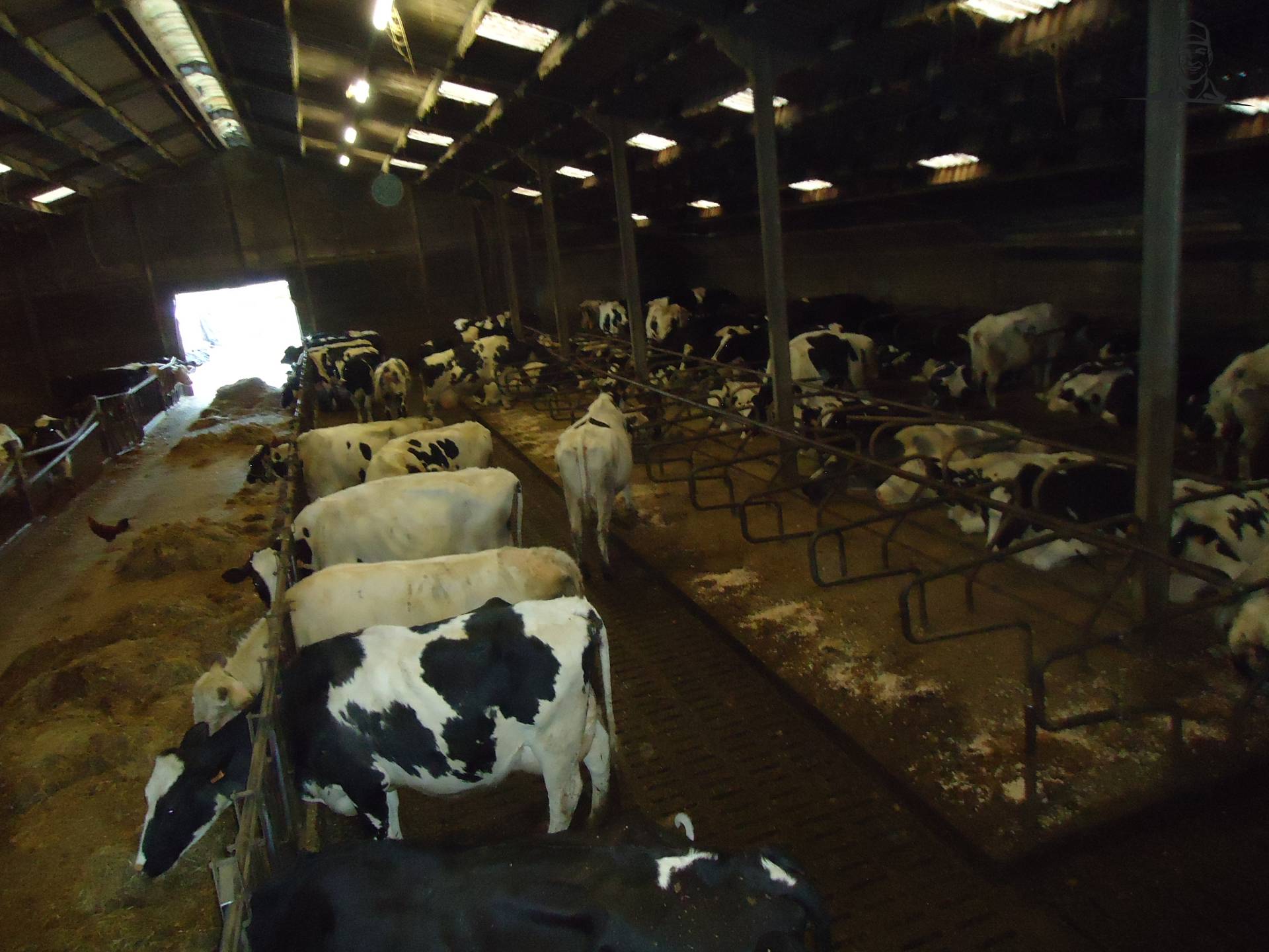 onze stal van Jonass