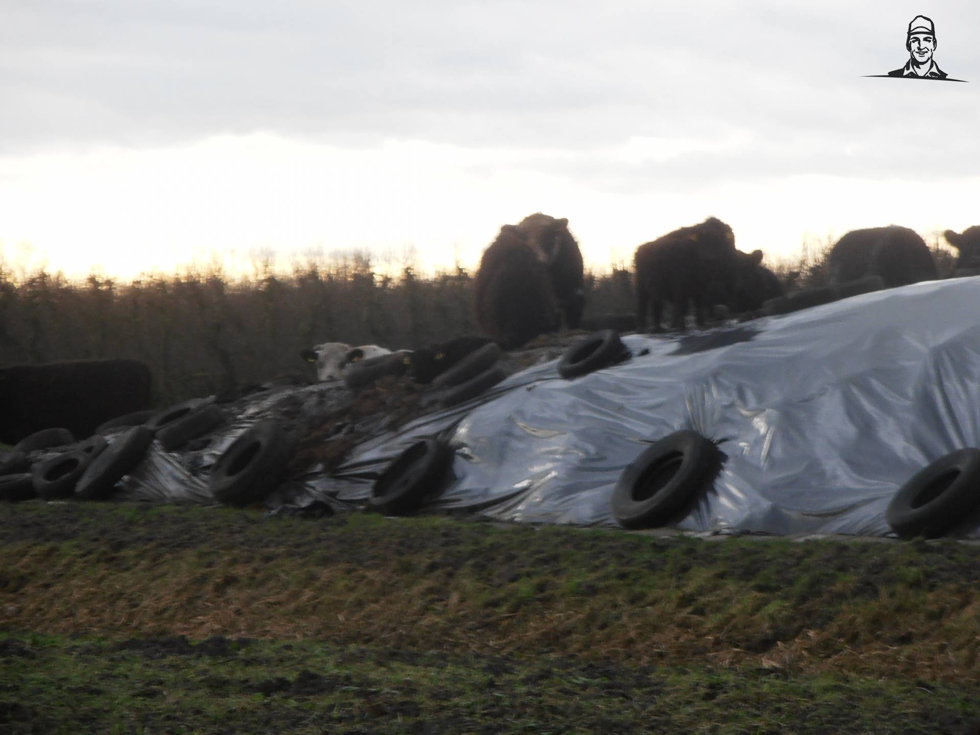 Zelfbediening! van japie82