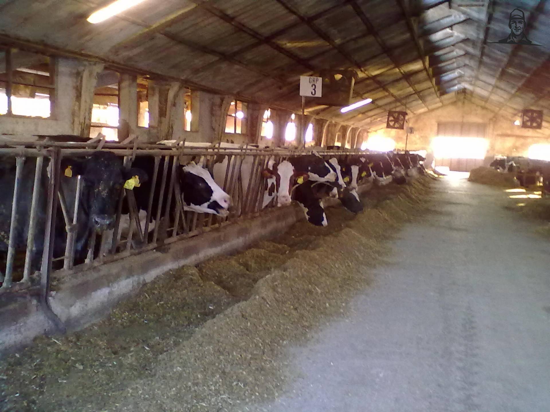 cappanone! van lucaistrefi