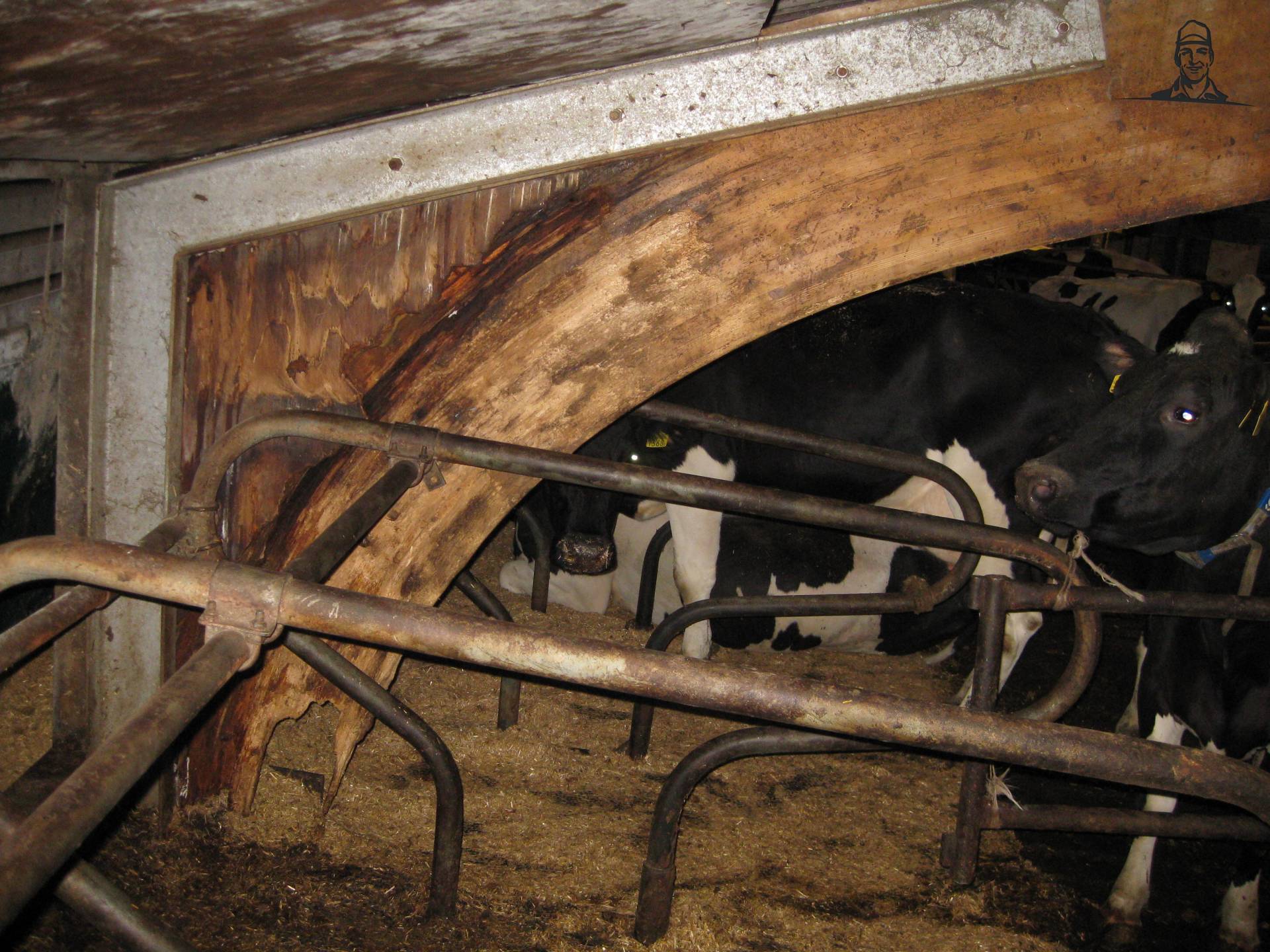 en de reparatie van mlkvhoudr