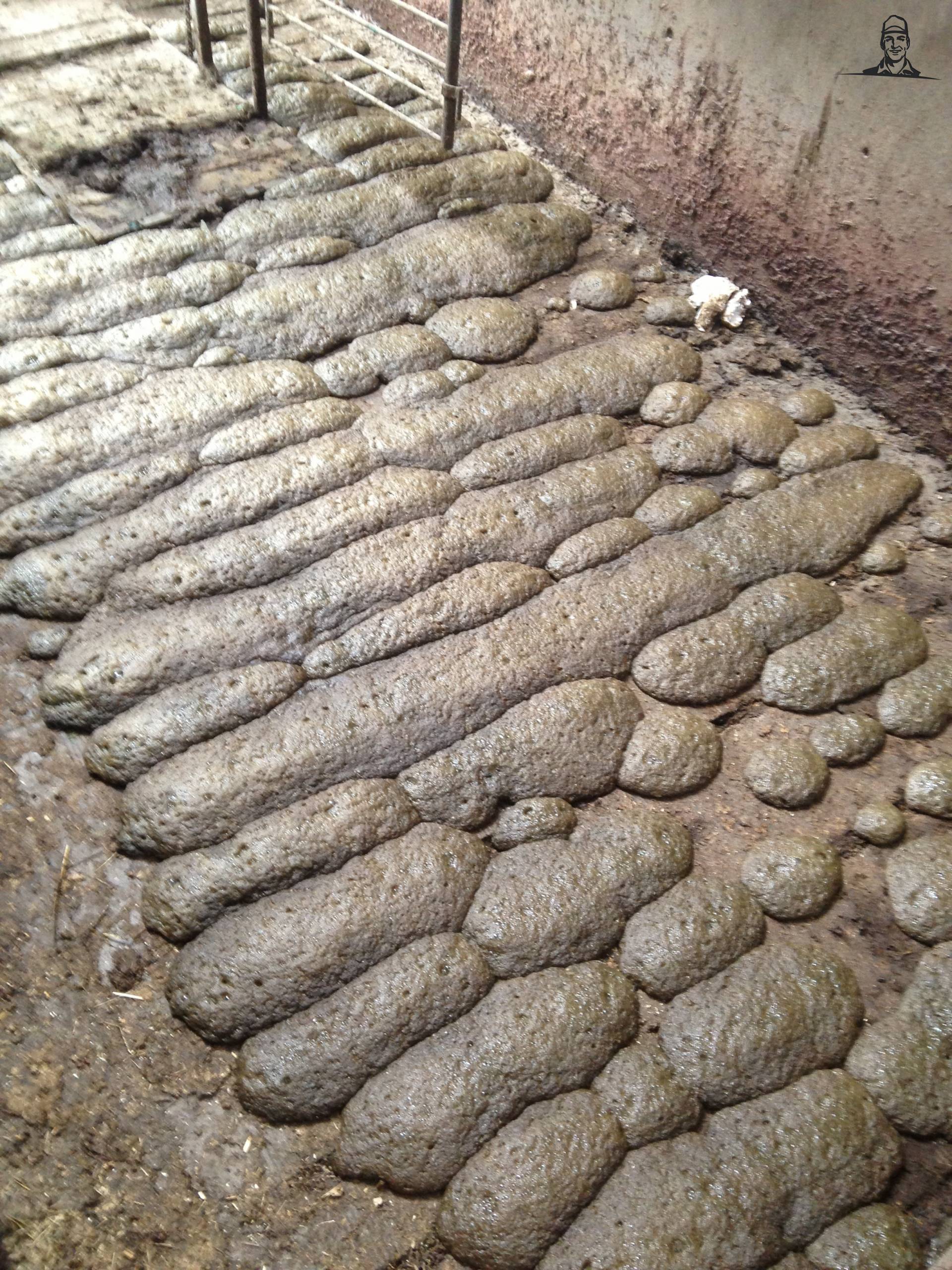 Put vol van jelle_1998