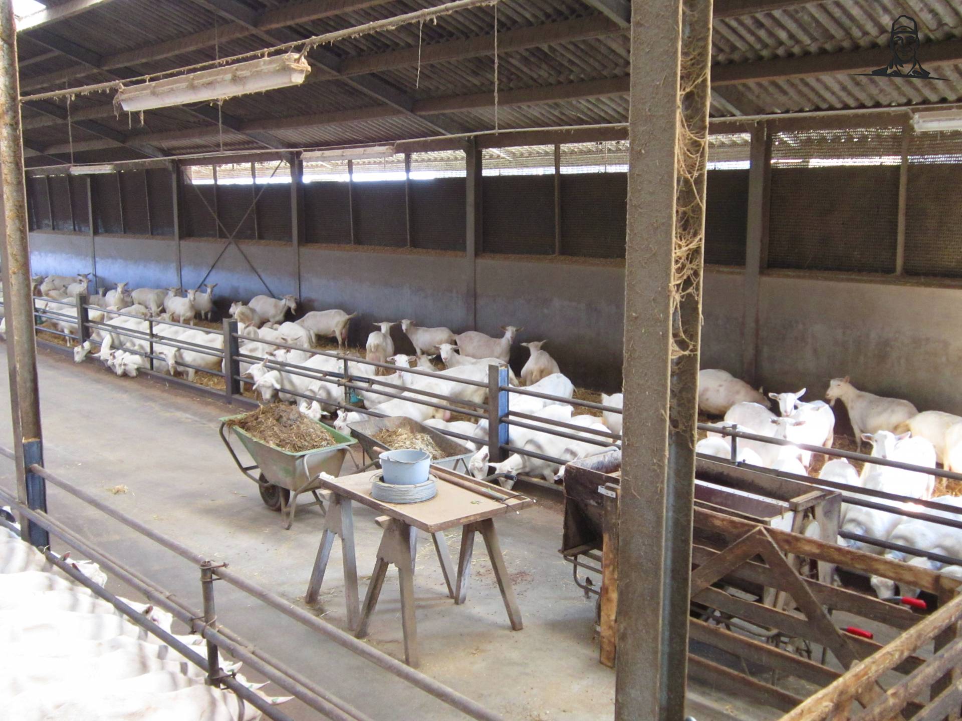 Duurmelkgeiten van Valtrapowerr