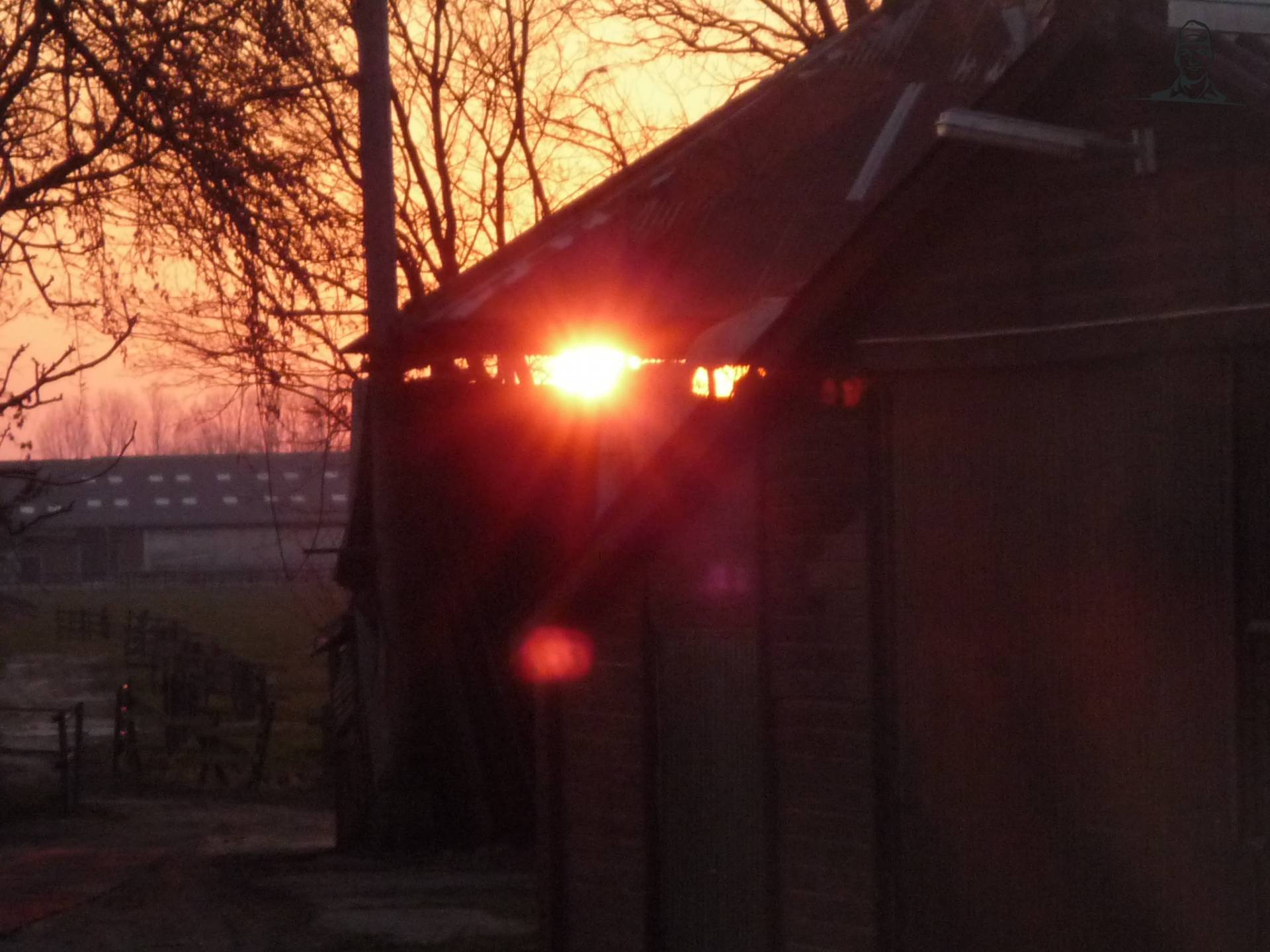 De zonsopgang van afgelopen week van zetor4ever