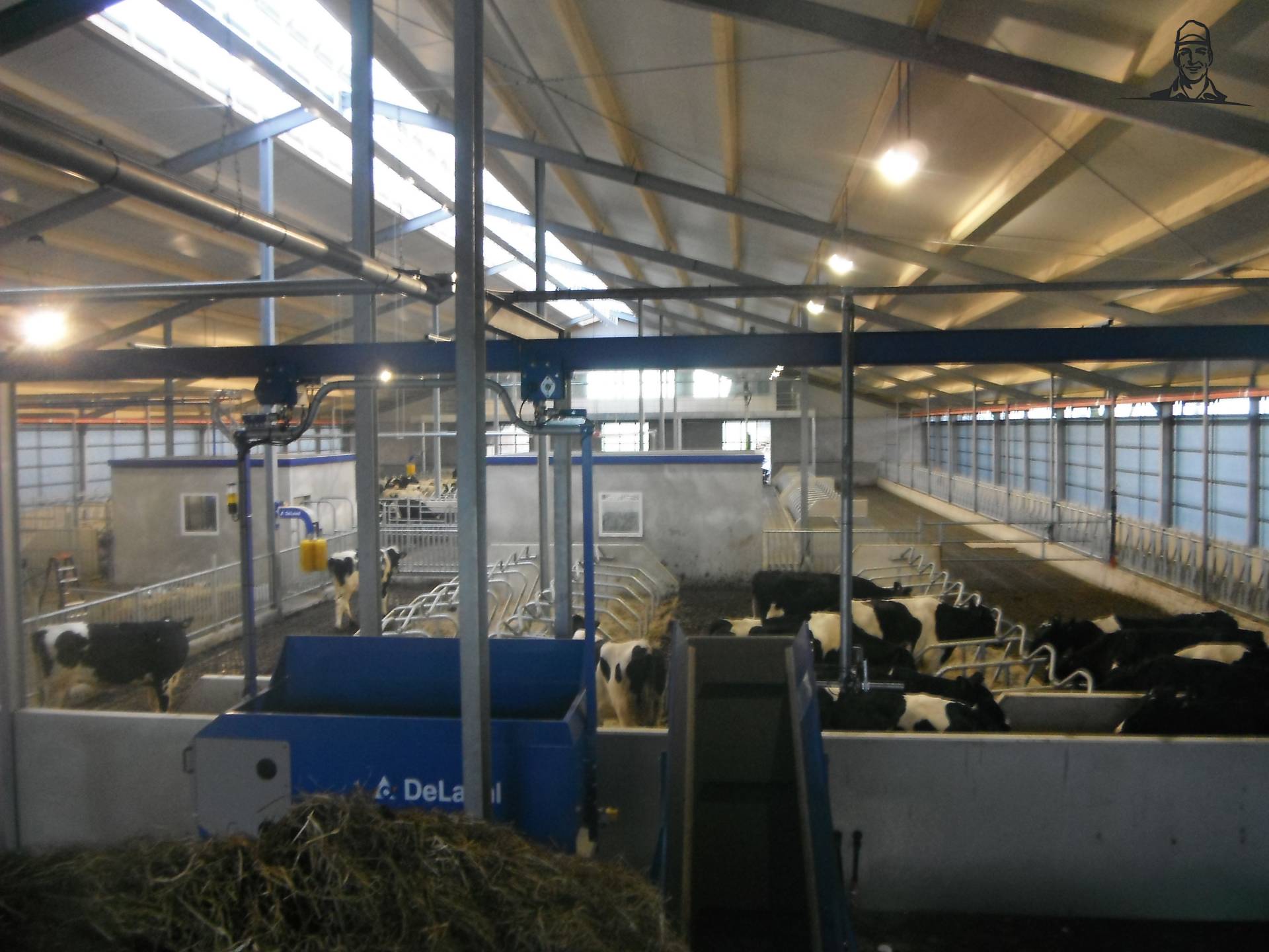 nieuwe melkvee stal thuis  van devonvdkroon