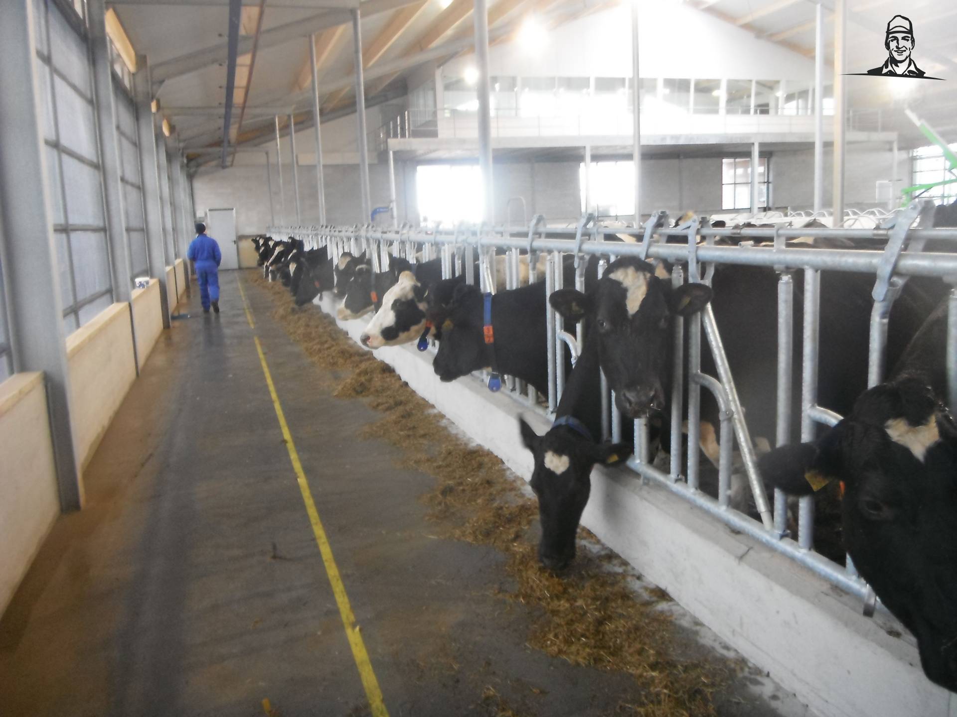 stal  van devonvdkroon