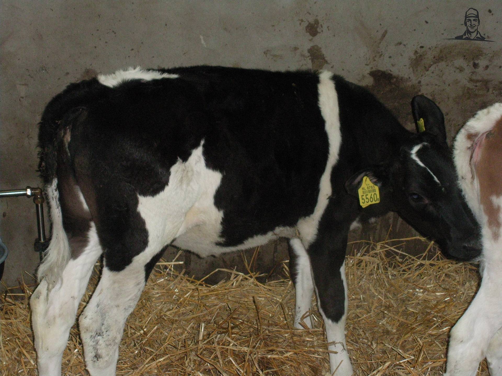 Nano dochter van claasfan530