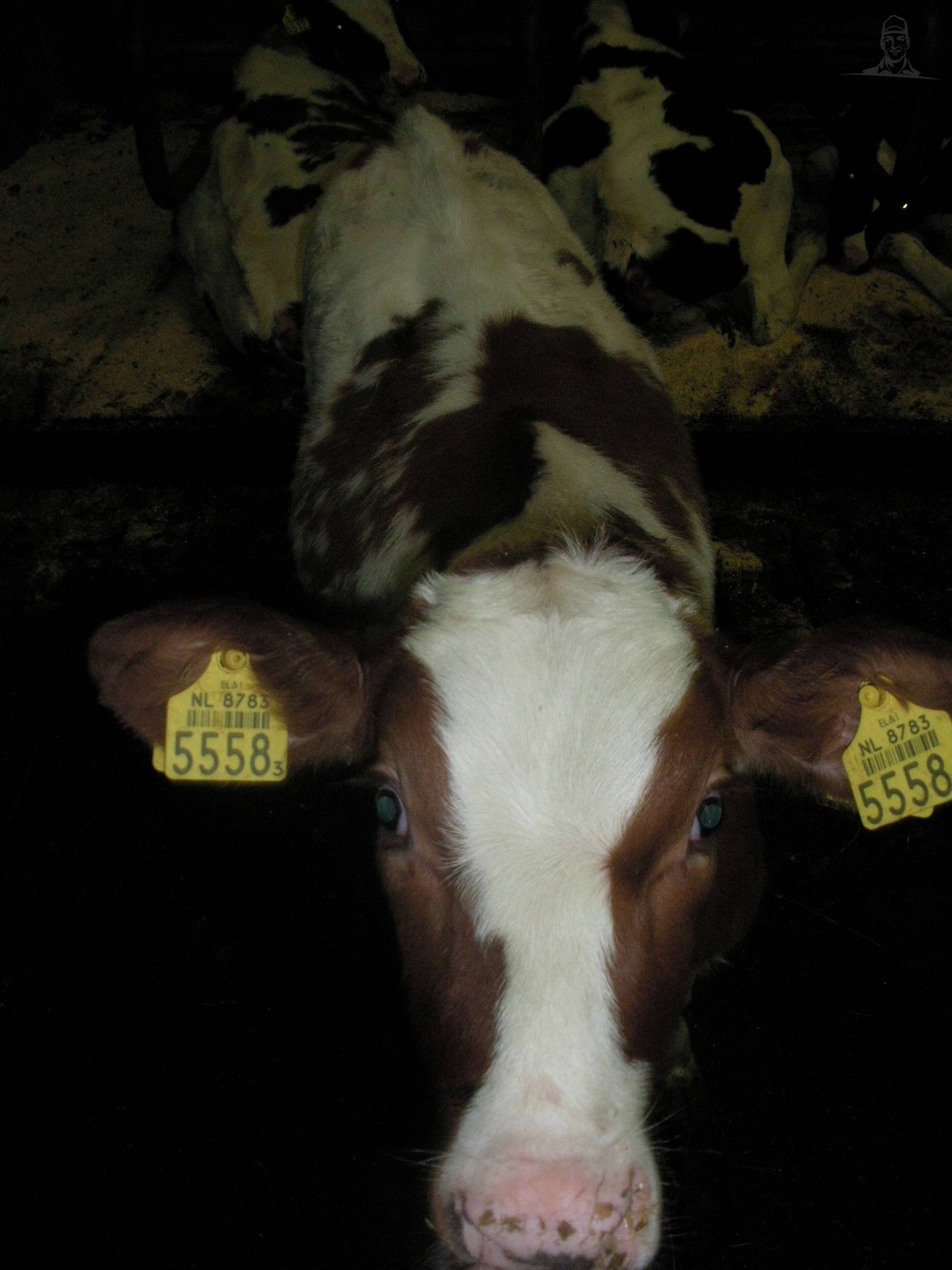 Maniac dochter van claasfan530