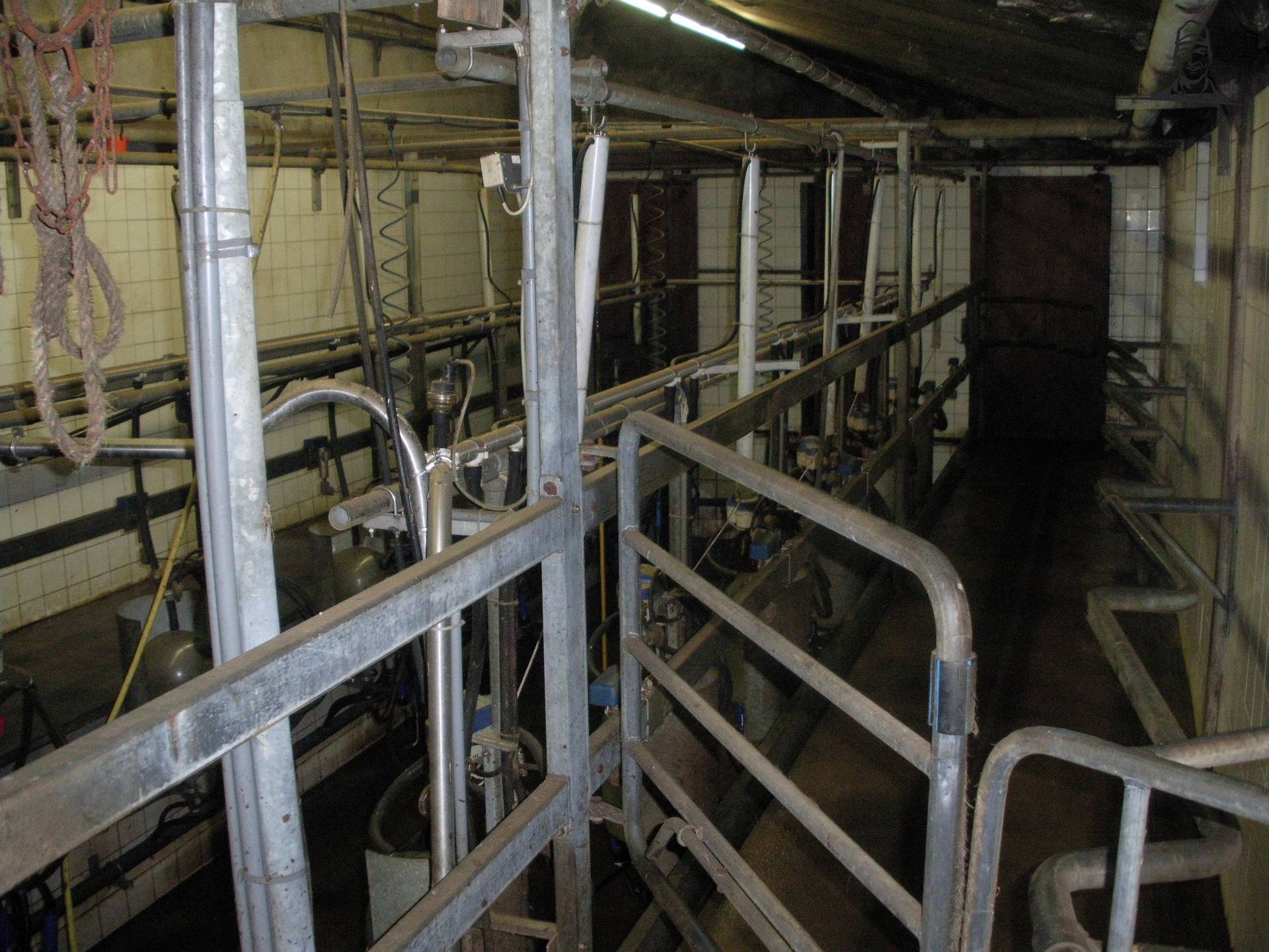 De melkstal van claasfan530