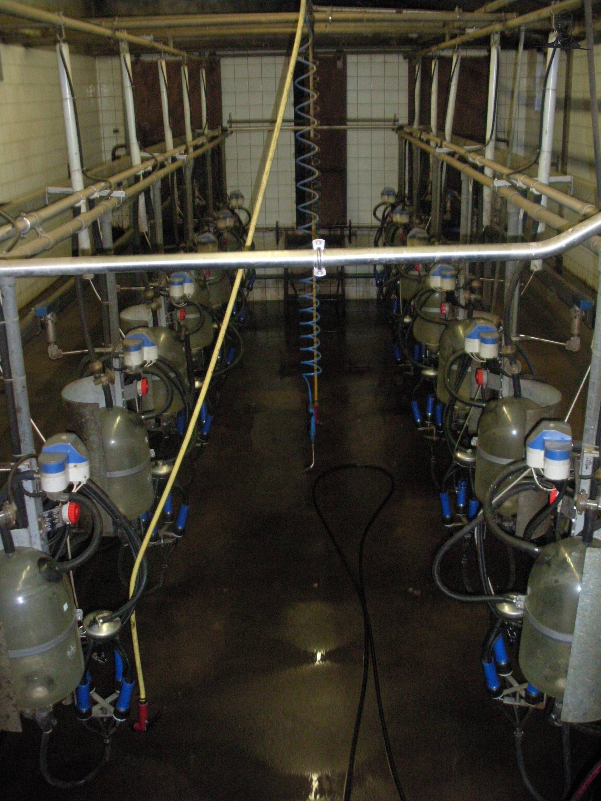 Melkstal van claasfan530