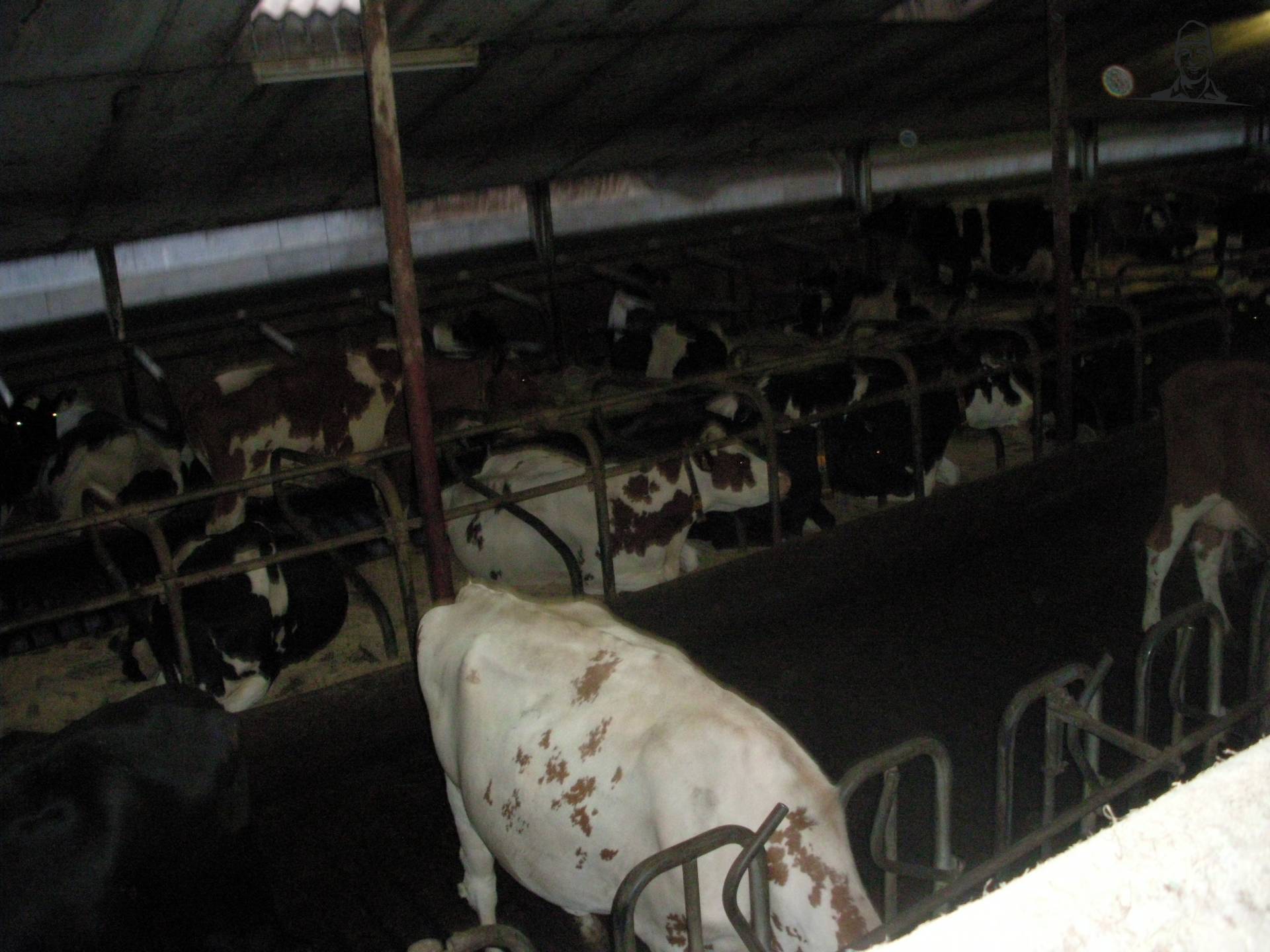 de stal van boven af van claasfan530