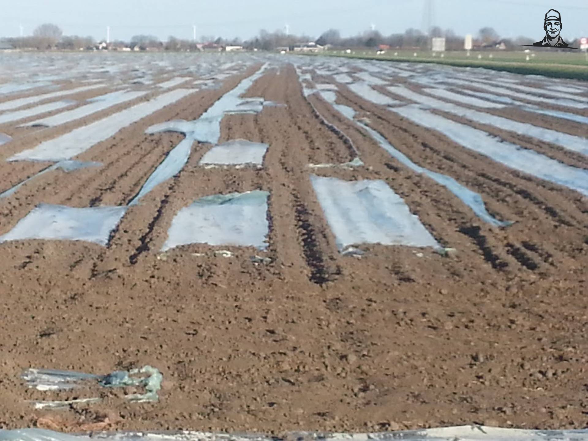 Stormschade Foliemais van Grasbaal