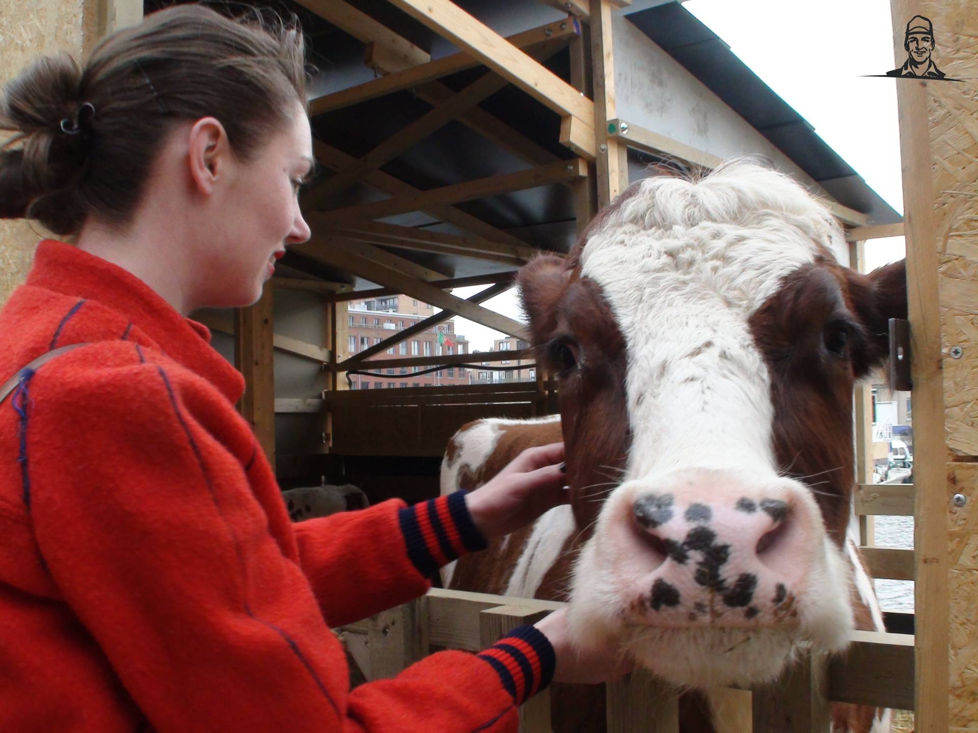 LoeiKoei van Grasbaal