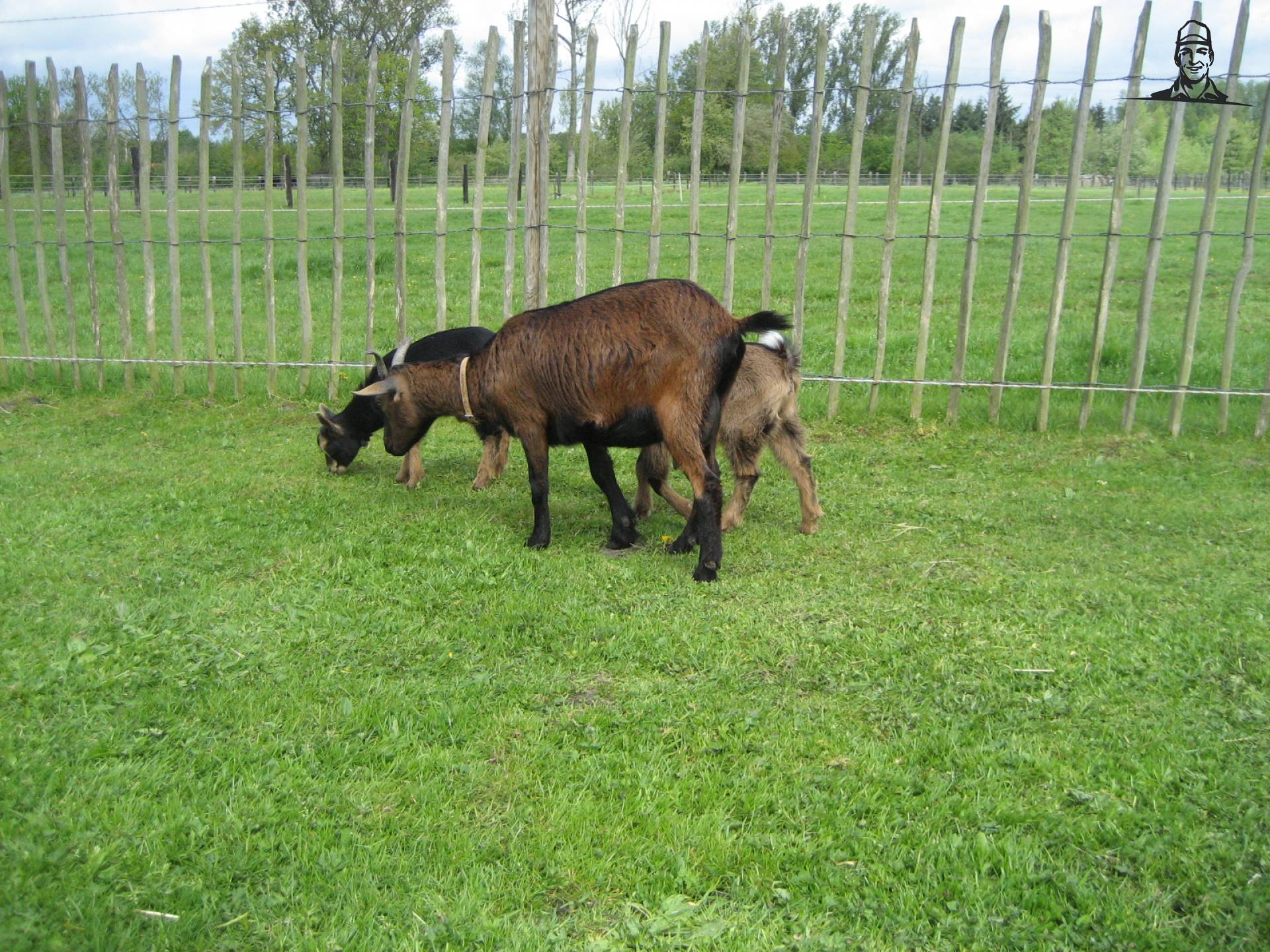 Geiten van eicher4048driver