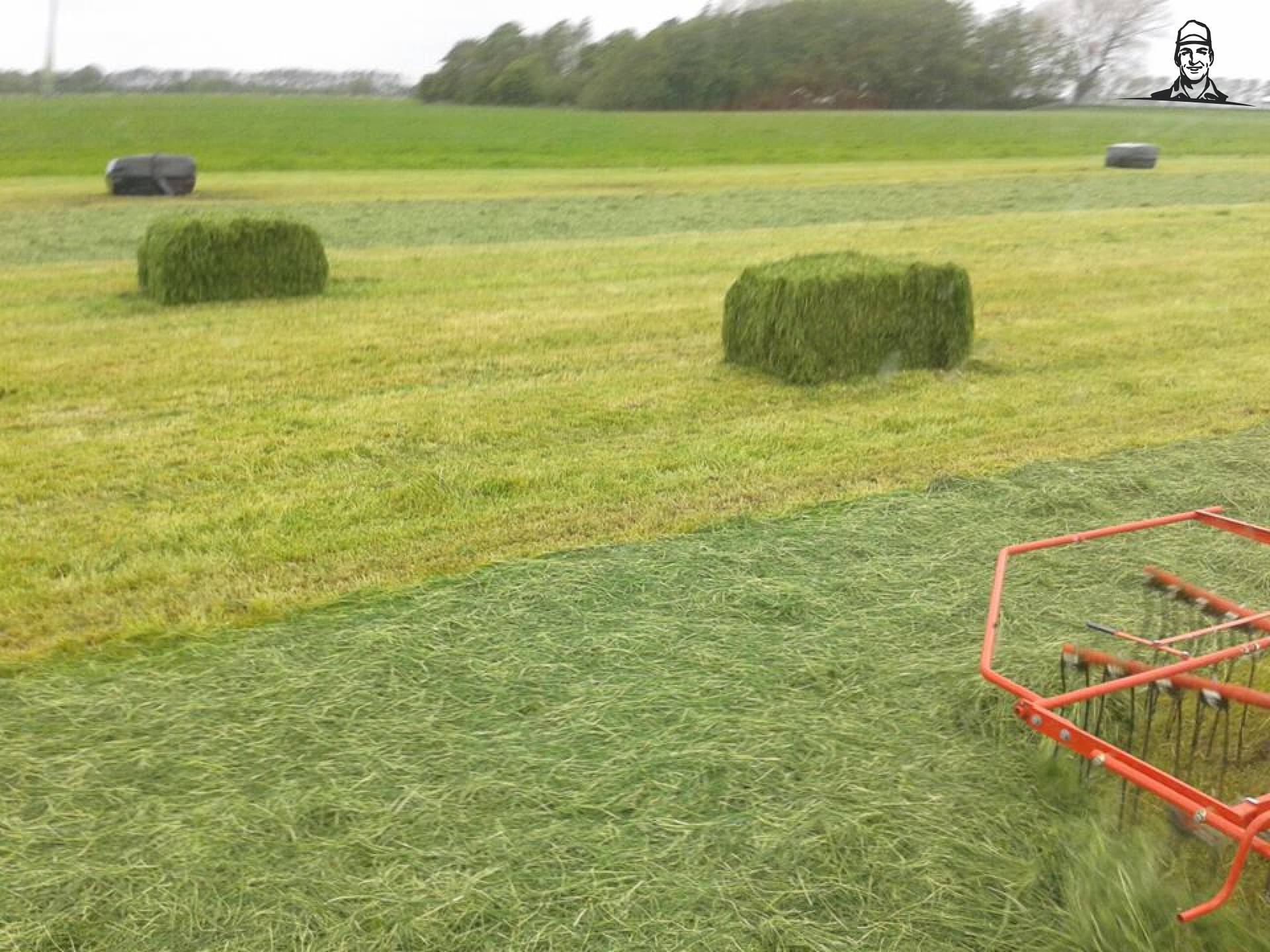 Waterpersen van Grasbaal