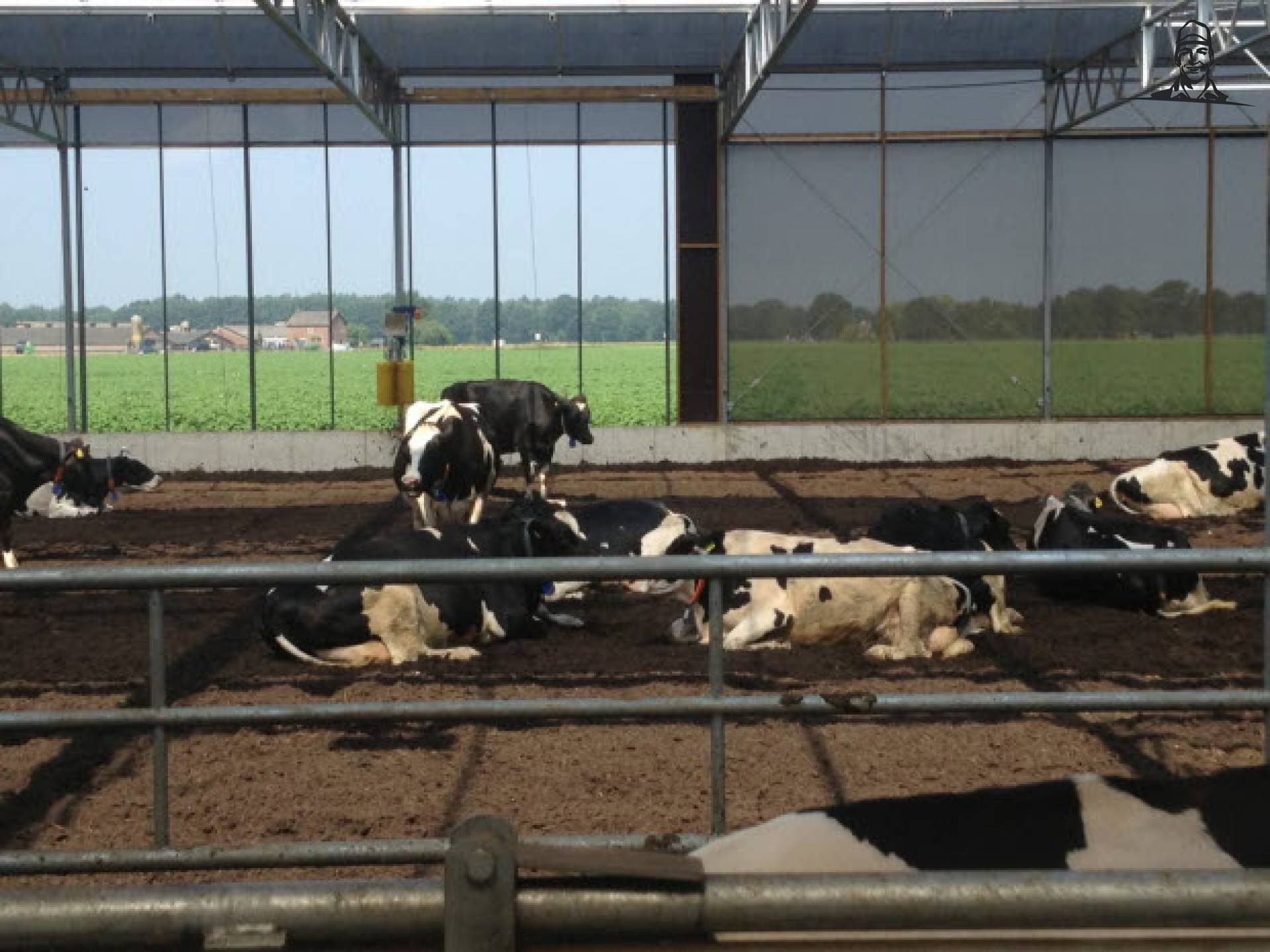 Bijzondere vrijloopstal met een cabrio-dak van Grasbaal