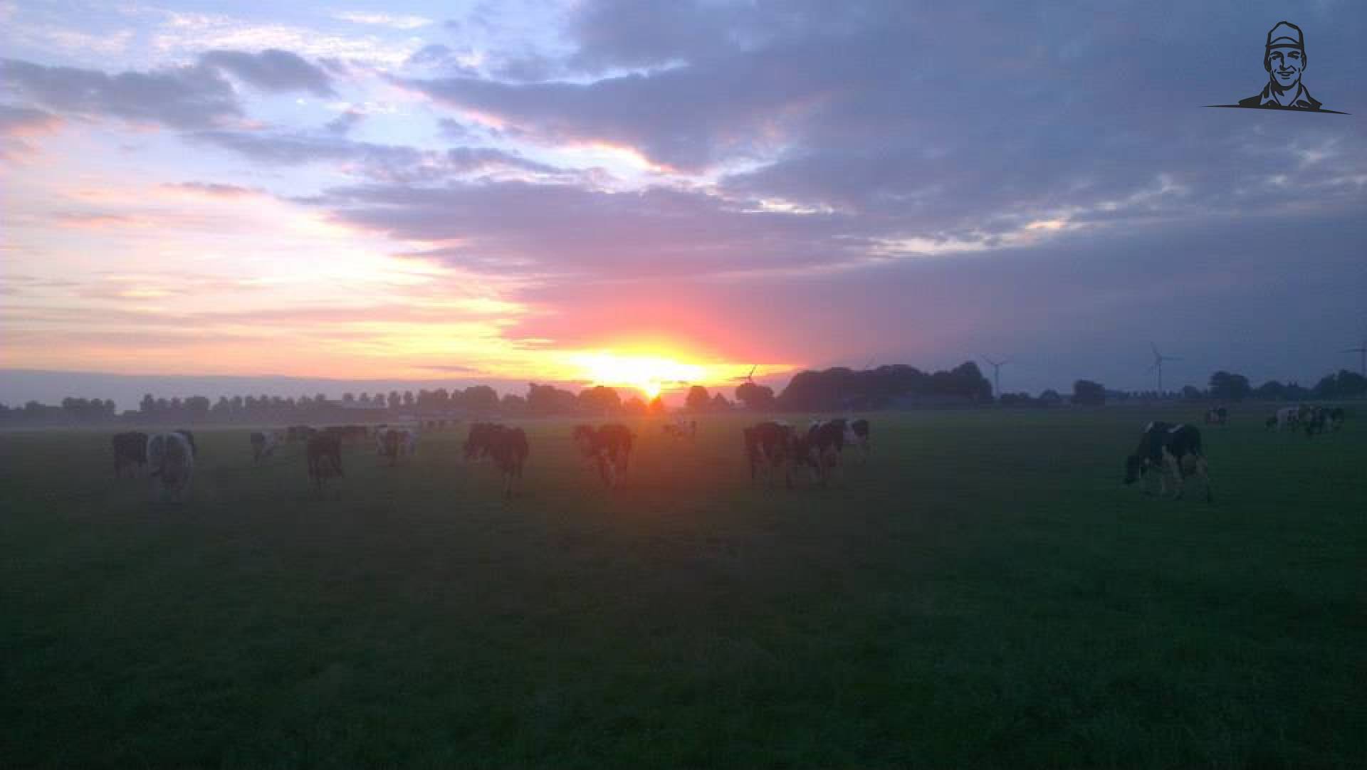 Mooie mistige morgen van Grasbaal