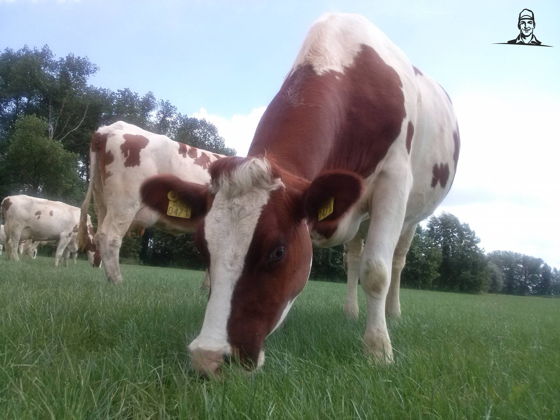 Vaars van Fiat110-90 DT